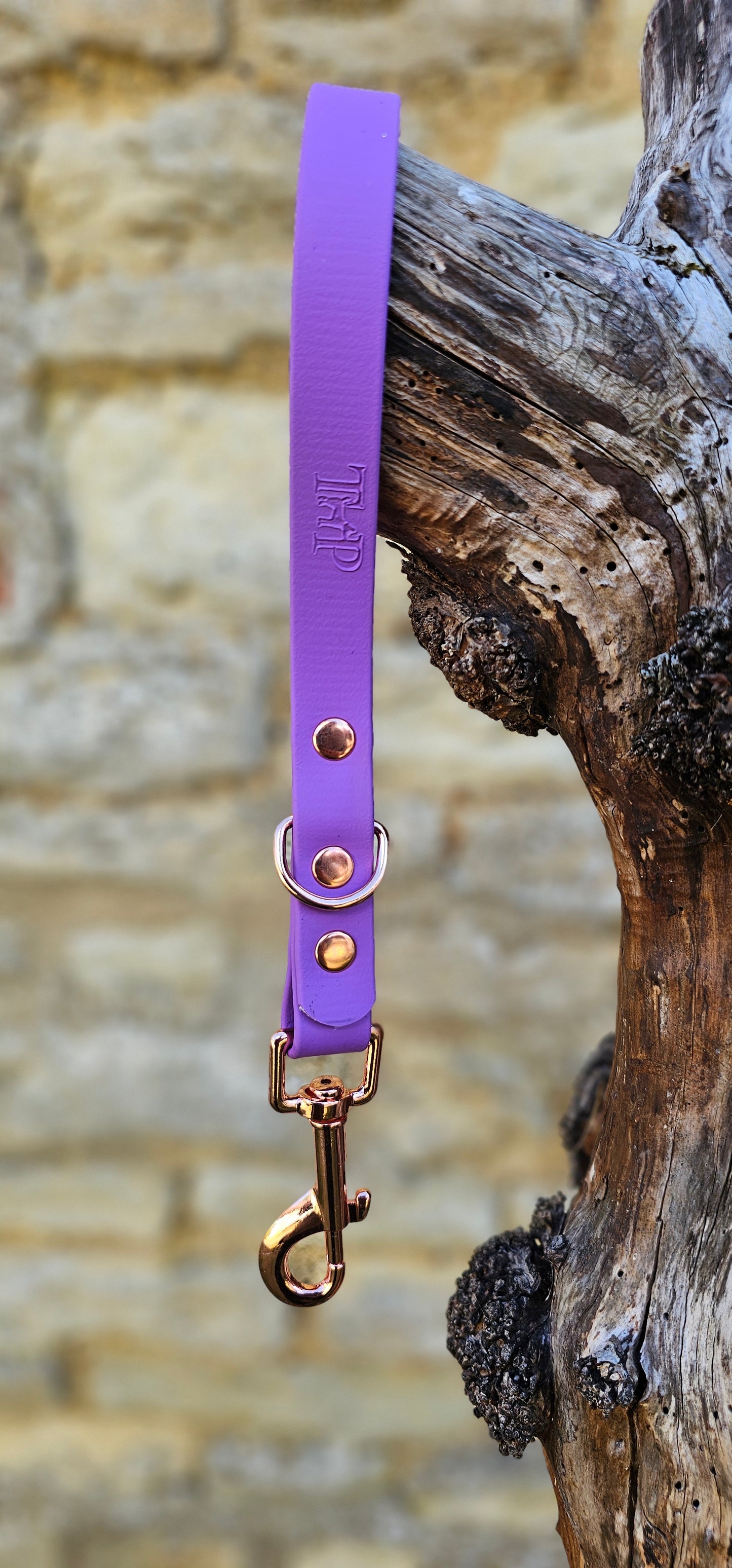 Amethyst - Waterproof BioThane® Dog Traffic Leash / Dog Traffic Handle