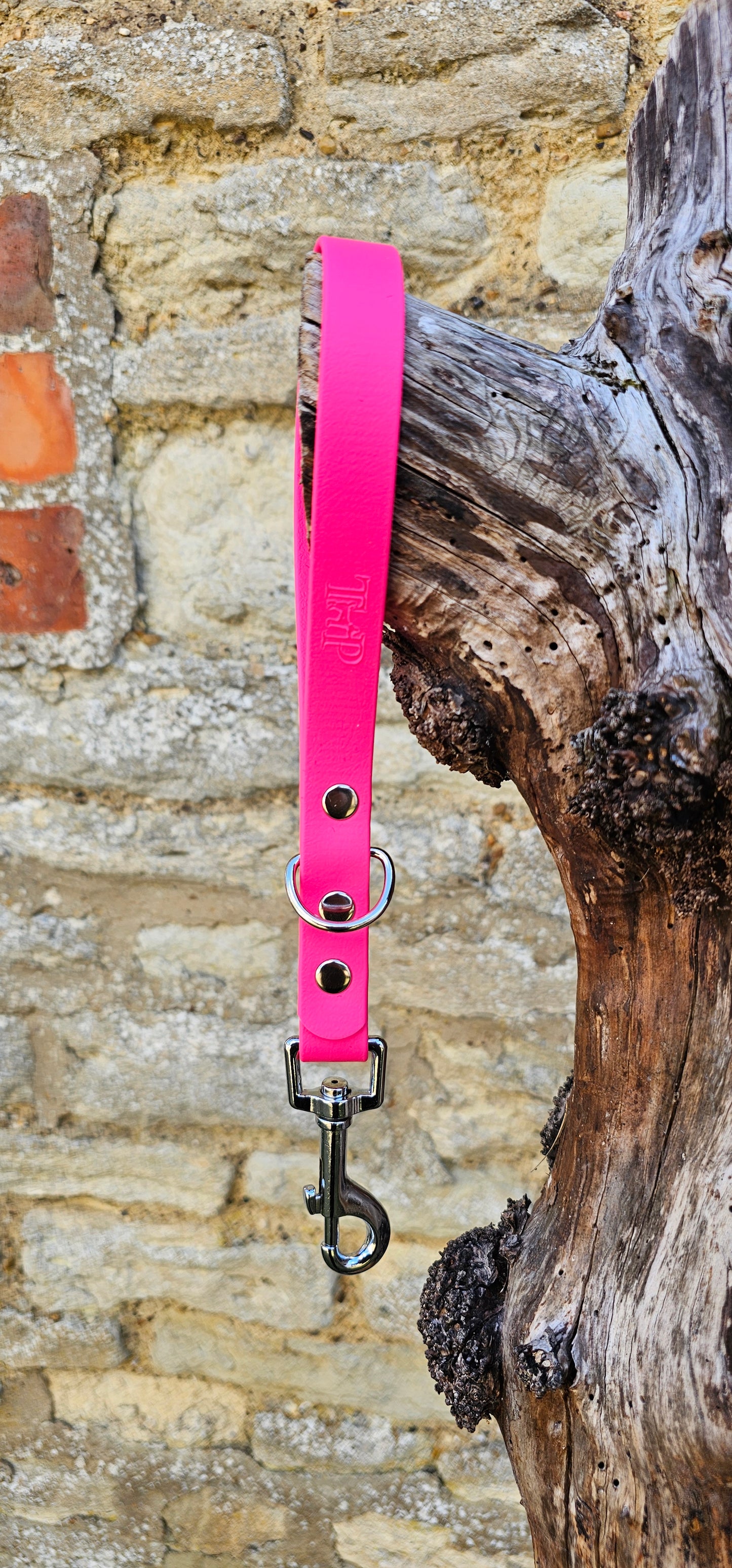 Passion Pink - Waterproof BioThane® Dog Traffic Leash / Dog Traffic Handle