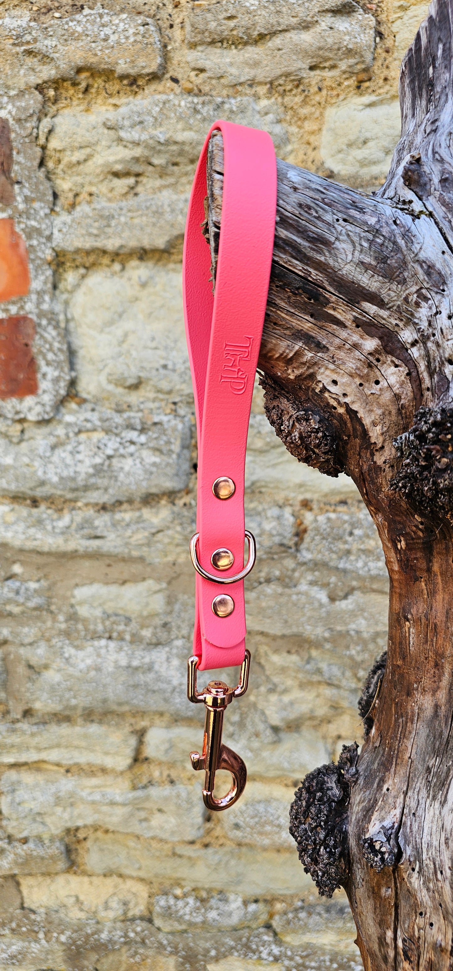 Coral - Waterproof BioThane® Dog Traffic Leash / Dog Traffic Handle