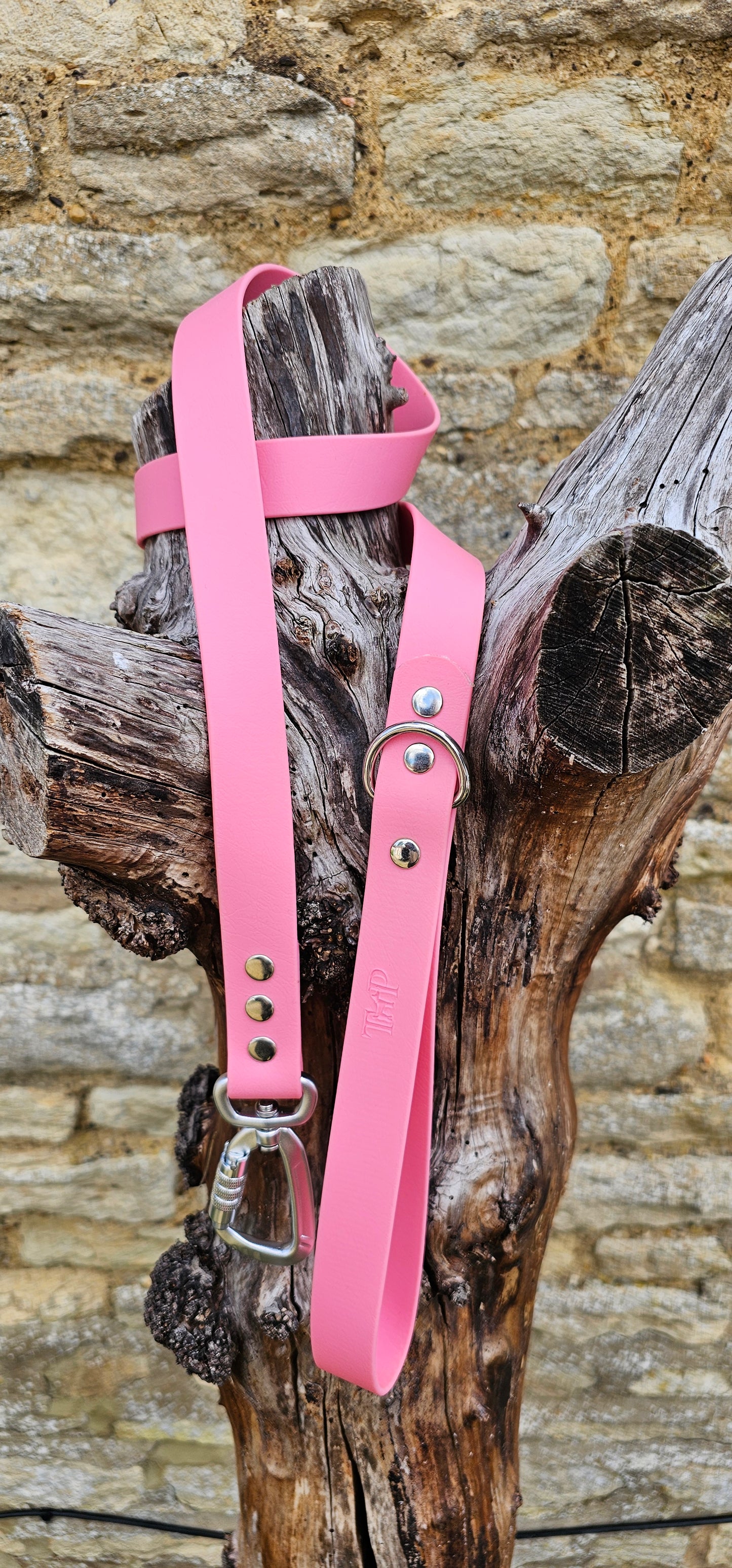 Baby Pink - Everlast Waterproof BioThane© Dog Lead