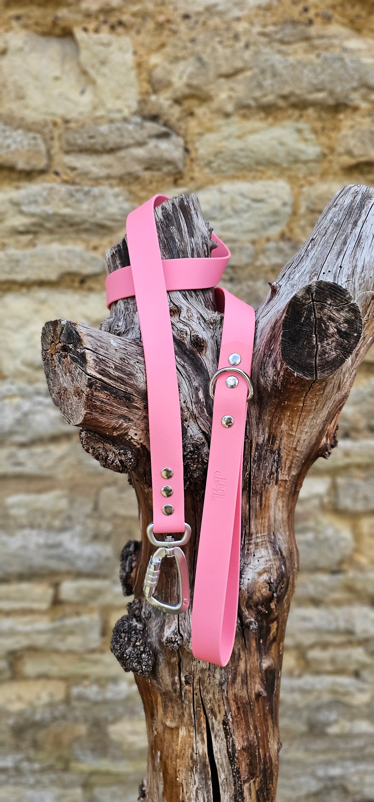 Baby Pink - Everlast Waterproof BioThane© Dog Lead