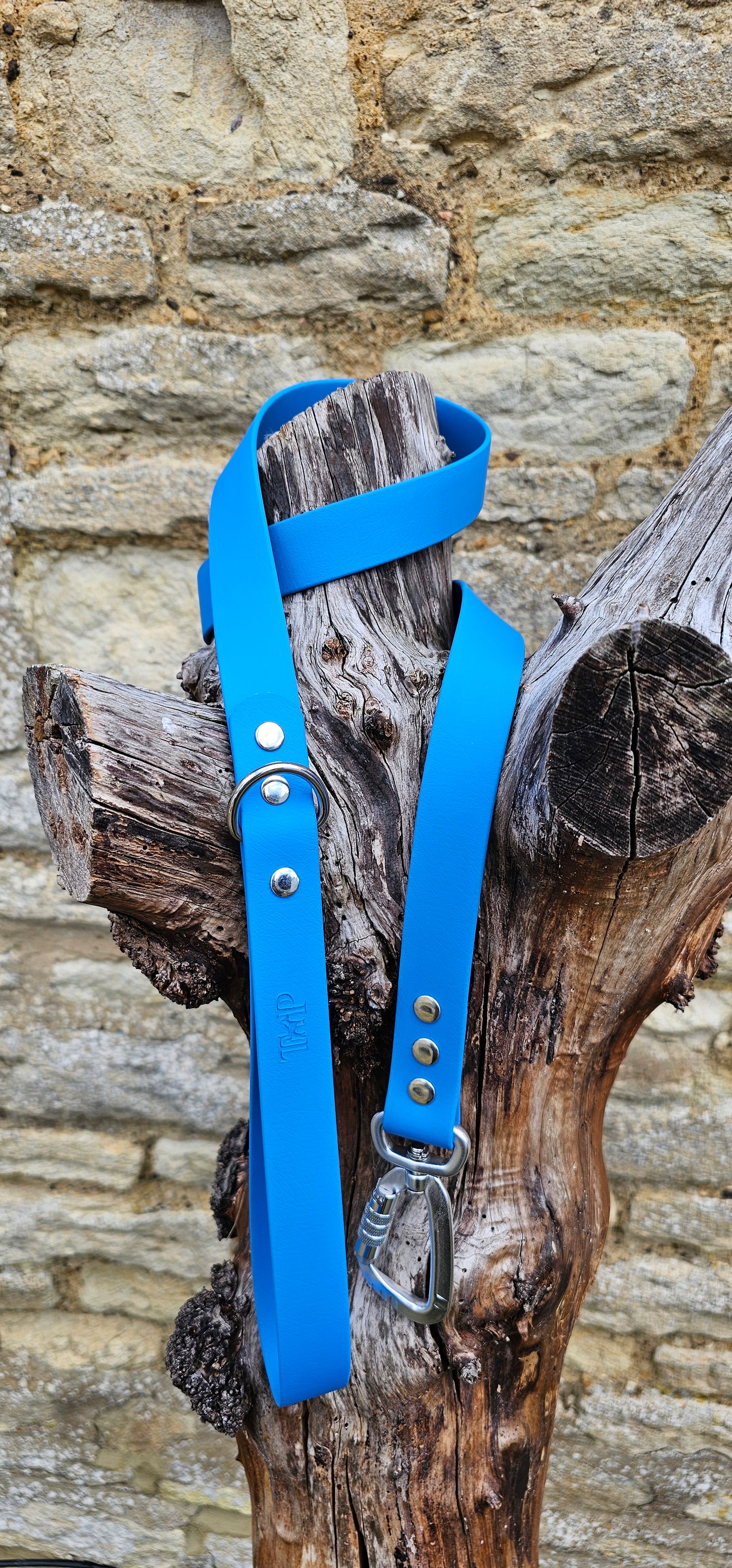 Blue - Everlast Waterproof BioThane© Dog Lead