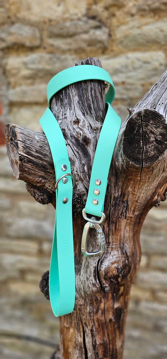 Mint - Everlast Waterproof BioThane© Dog Lead