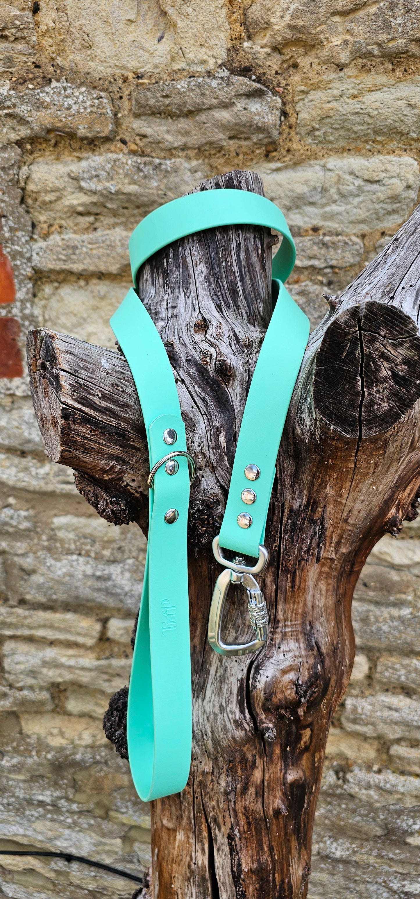 Mint - Everlast Waterproof BioThane© Dog Lead