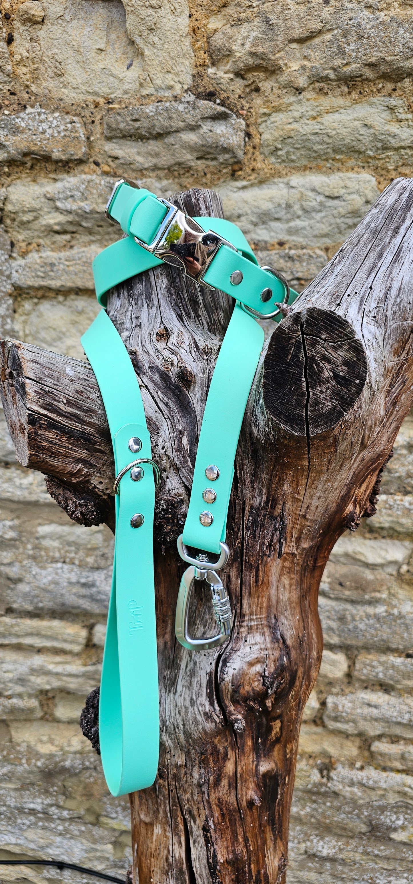 Mint - Everlast Waterproof BioThane© Quick-Release Buckle Dog Collar