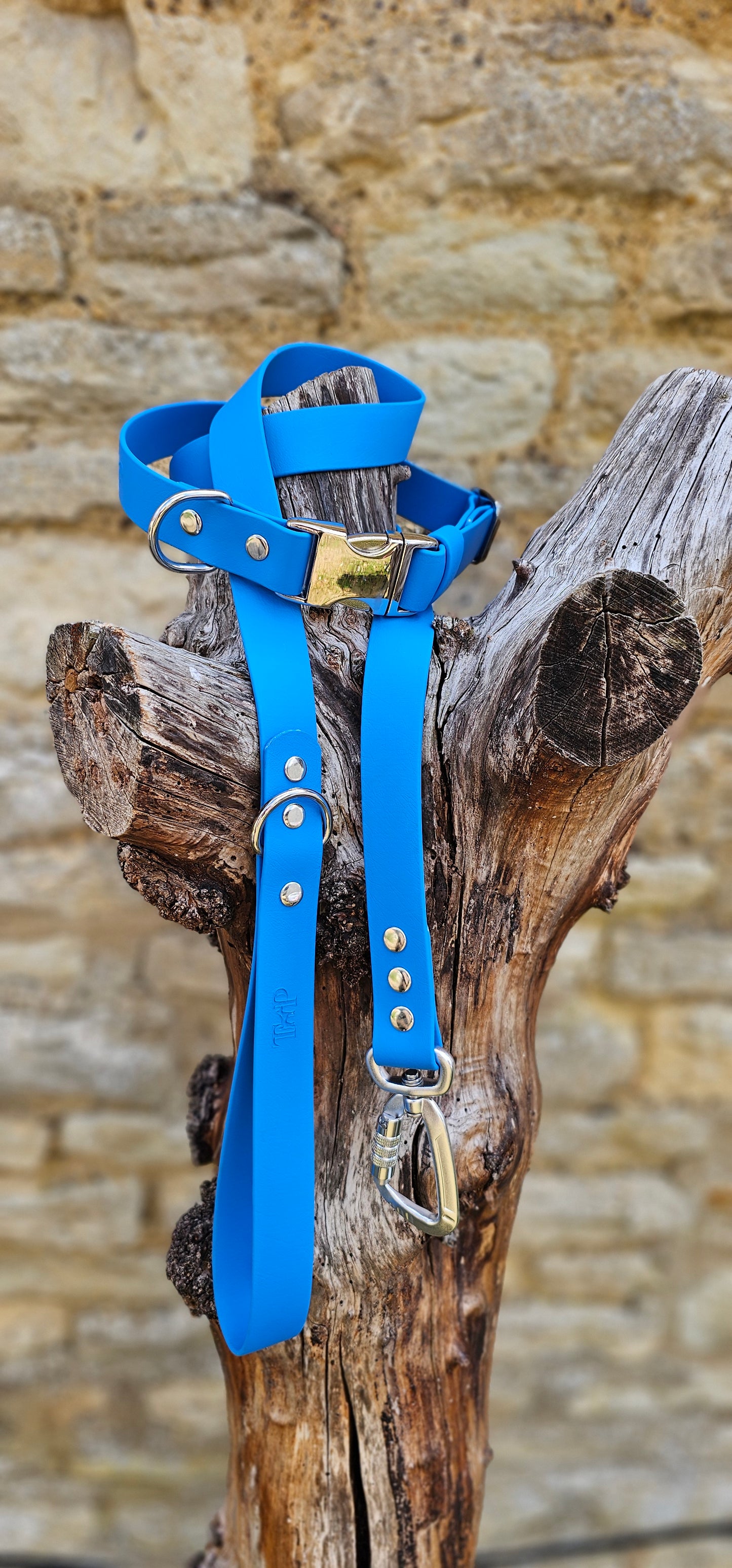 Lagune - Everlast Waterproof BioThane© Quick-Release Buckle Dog Collar
