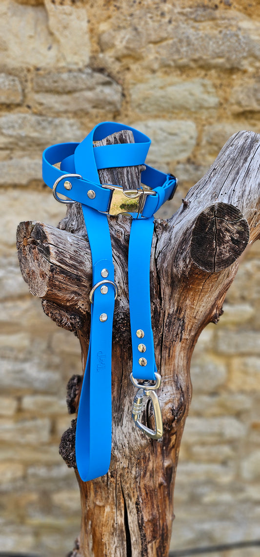 Lagune - Everlast Waterproof BioThane© Quick-Release Buckle Dog Collar