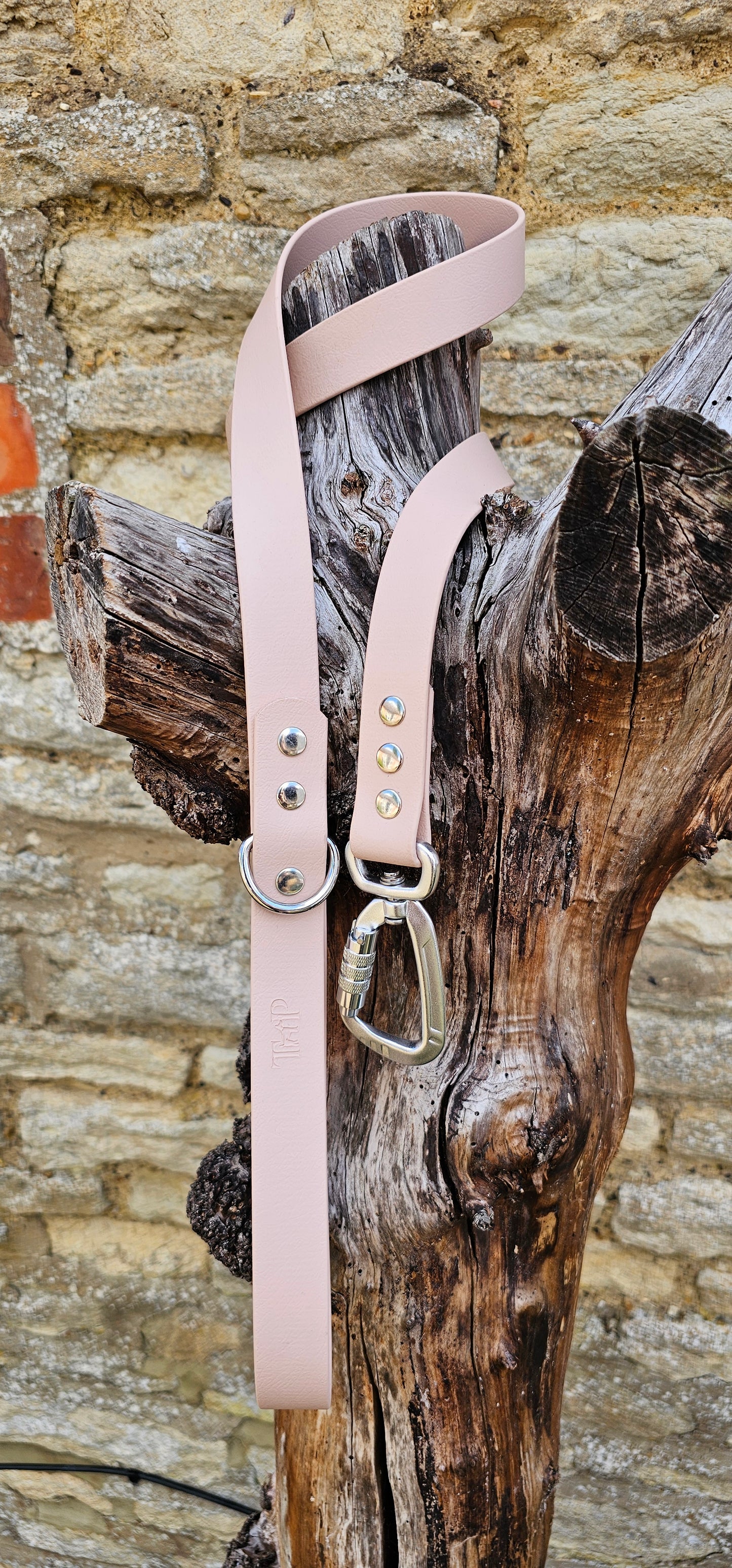 Powder Pearl - Everlast Waterproof BioThane© Dog Lead