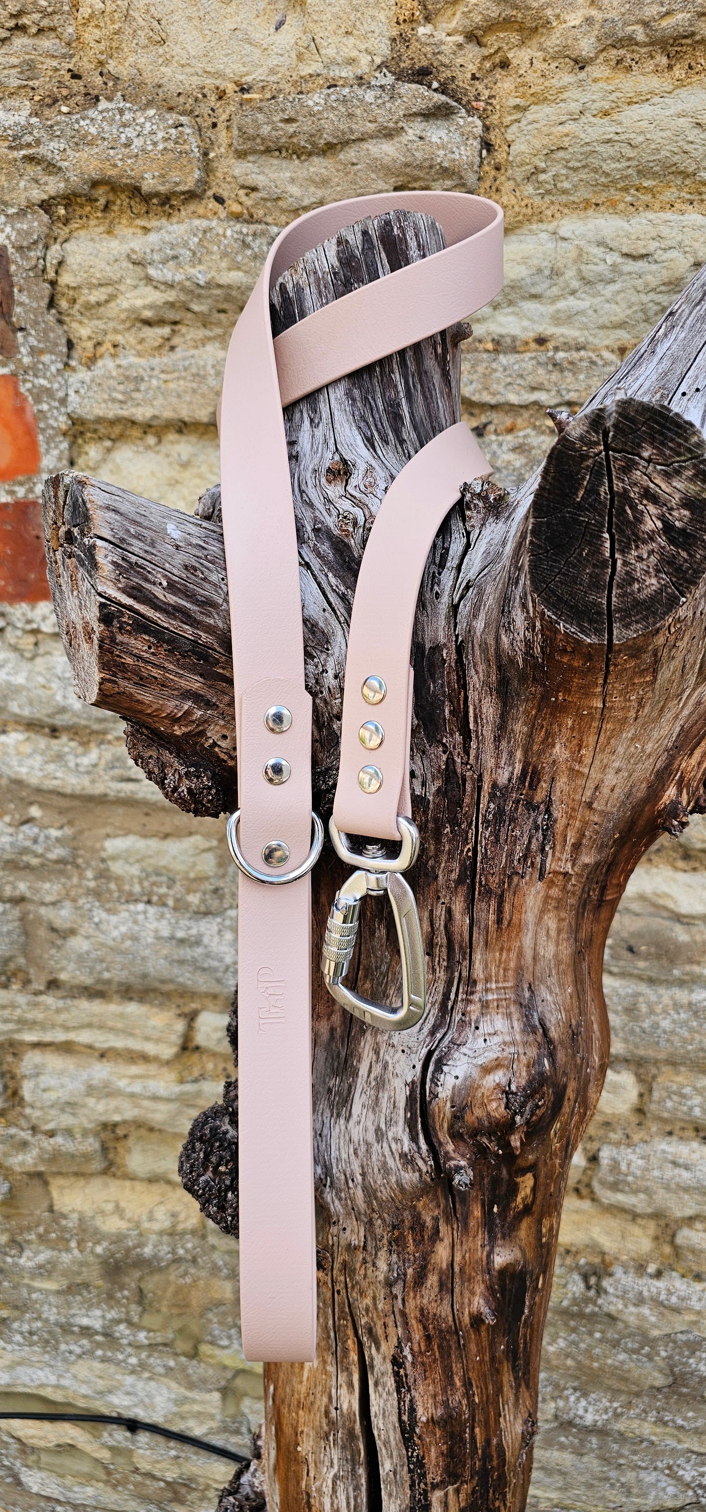 Powder Pearl - Everlast Waterproof BioThane© Dog Lead
