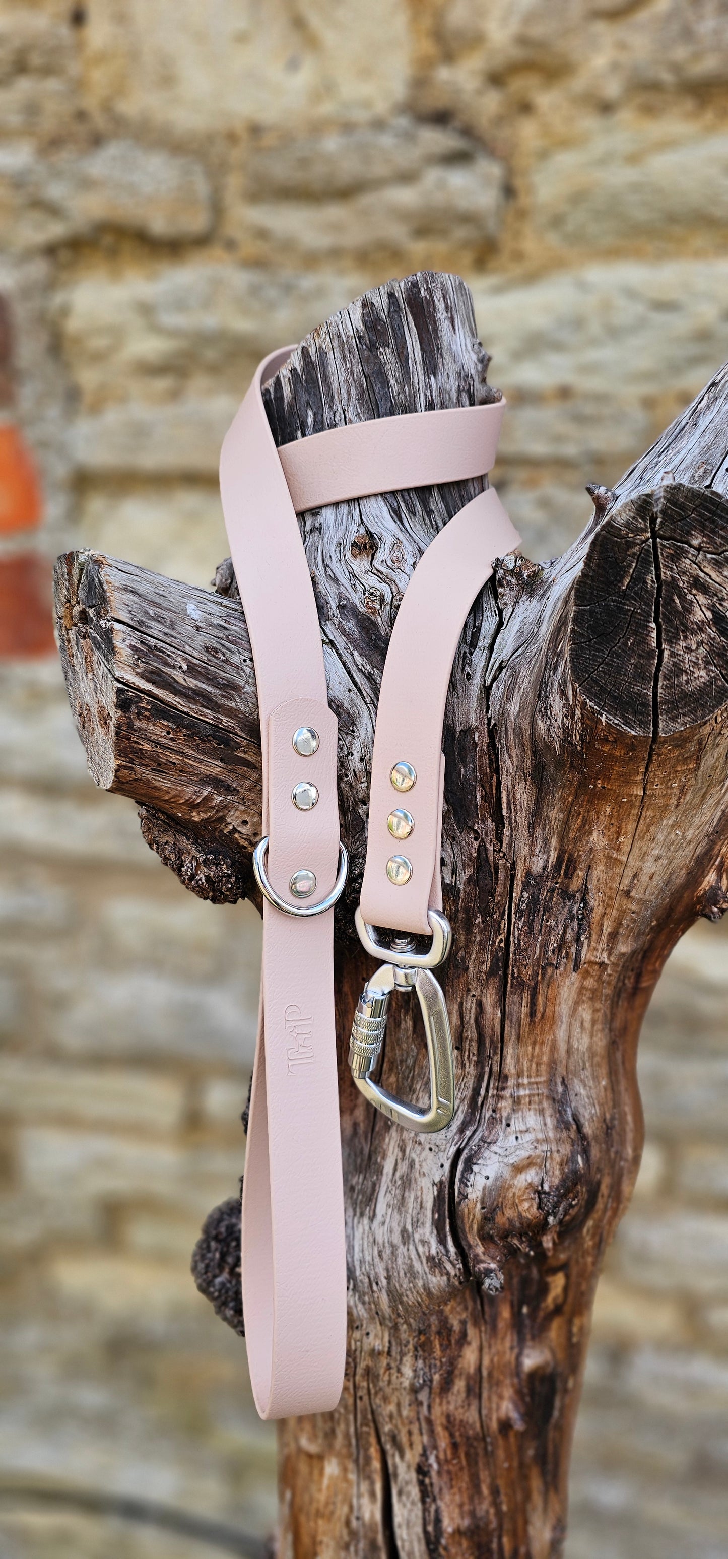 Powder Pearl - Everlast Waterproof BioThane© Dog Lead