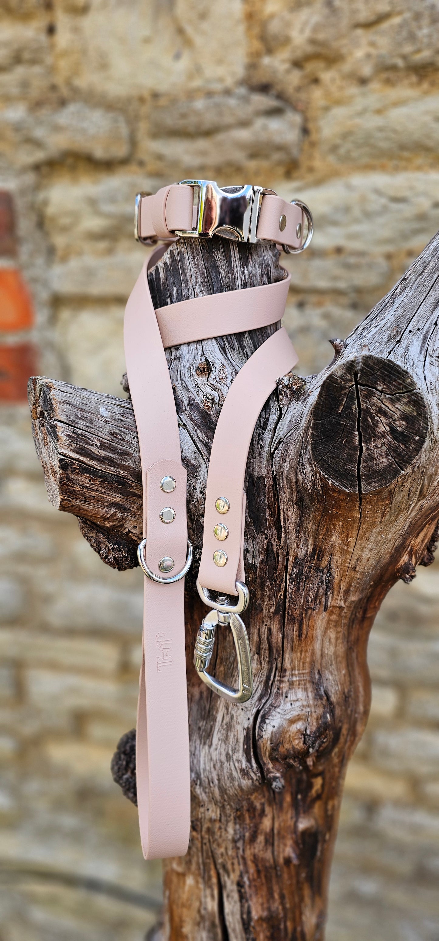 Powder Pearl - Everlast Waterproof BioThane© Dog Lead