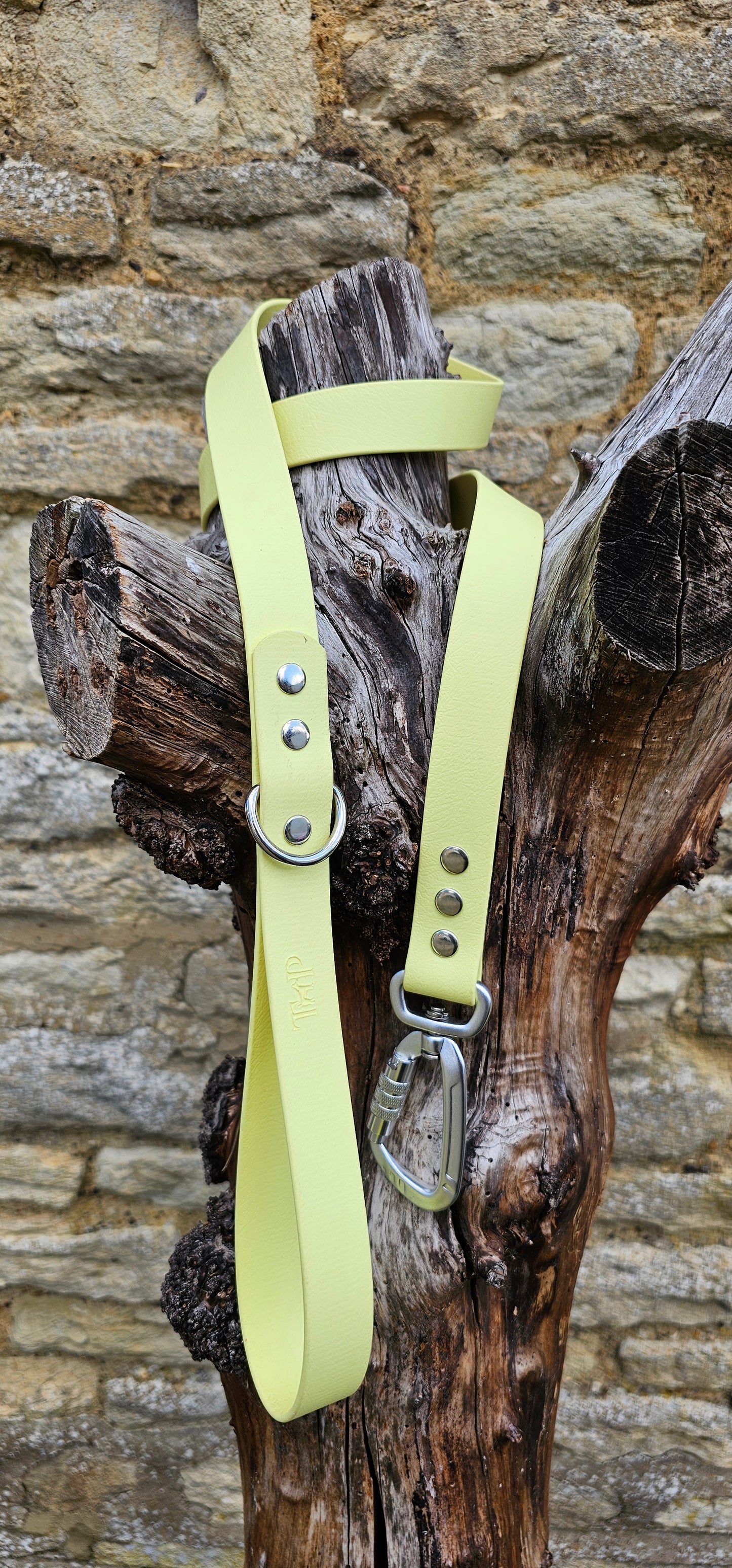 Lemon - Everlast Waterproof BioThane© Dog Lead