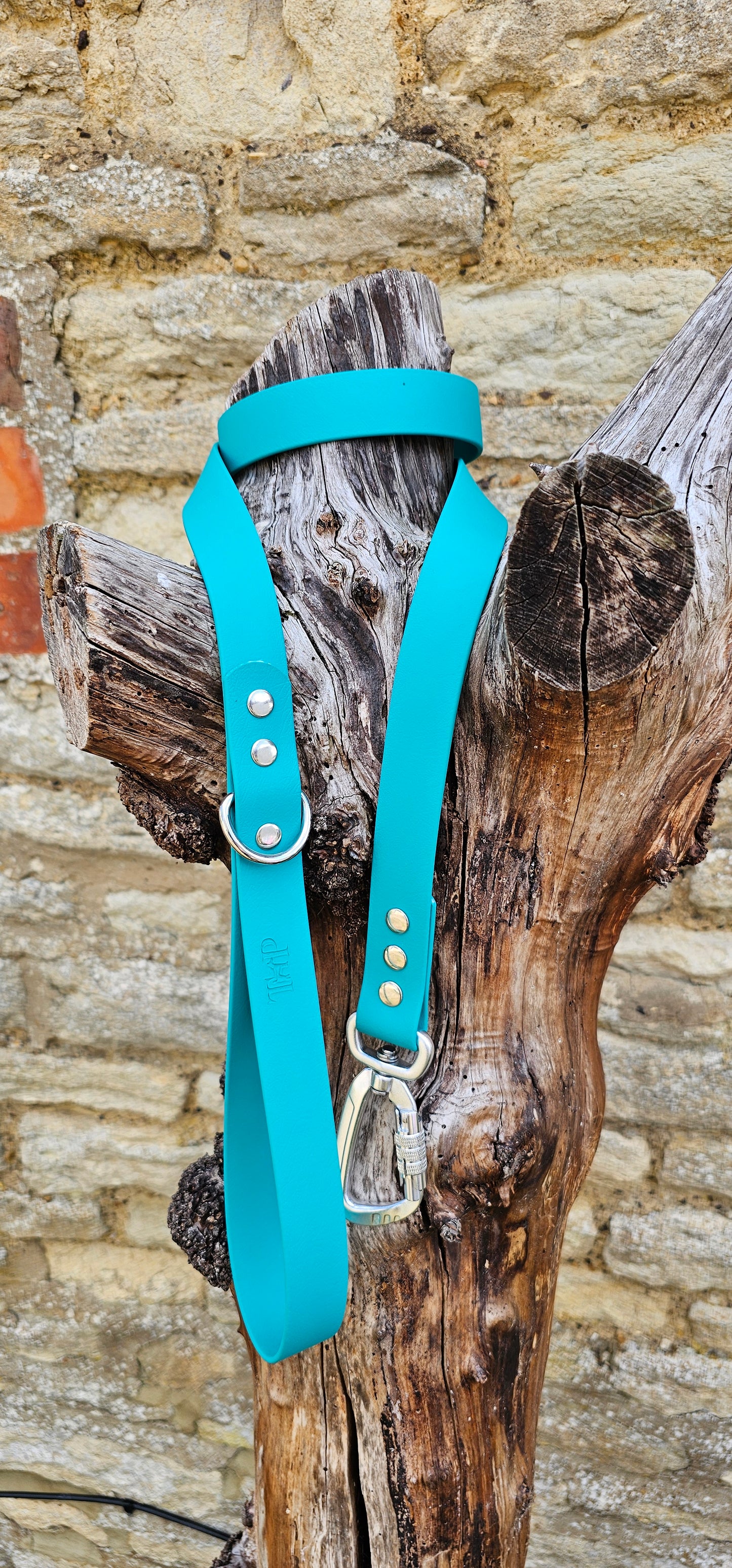 Teal - Everlast Waterproof BioThane© Dog Lead