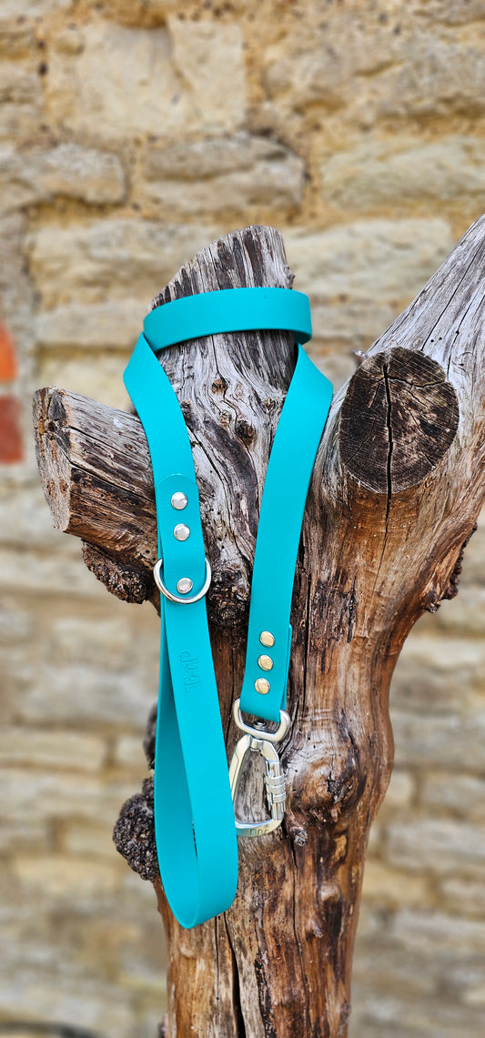 Teal - Everlast Waterproof BioThane© Dog Lead