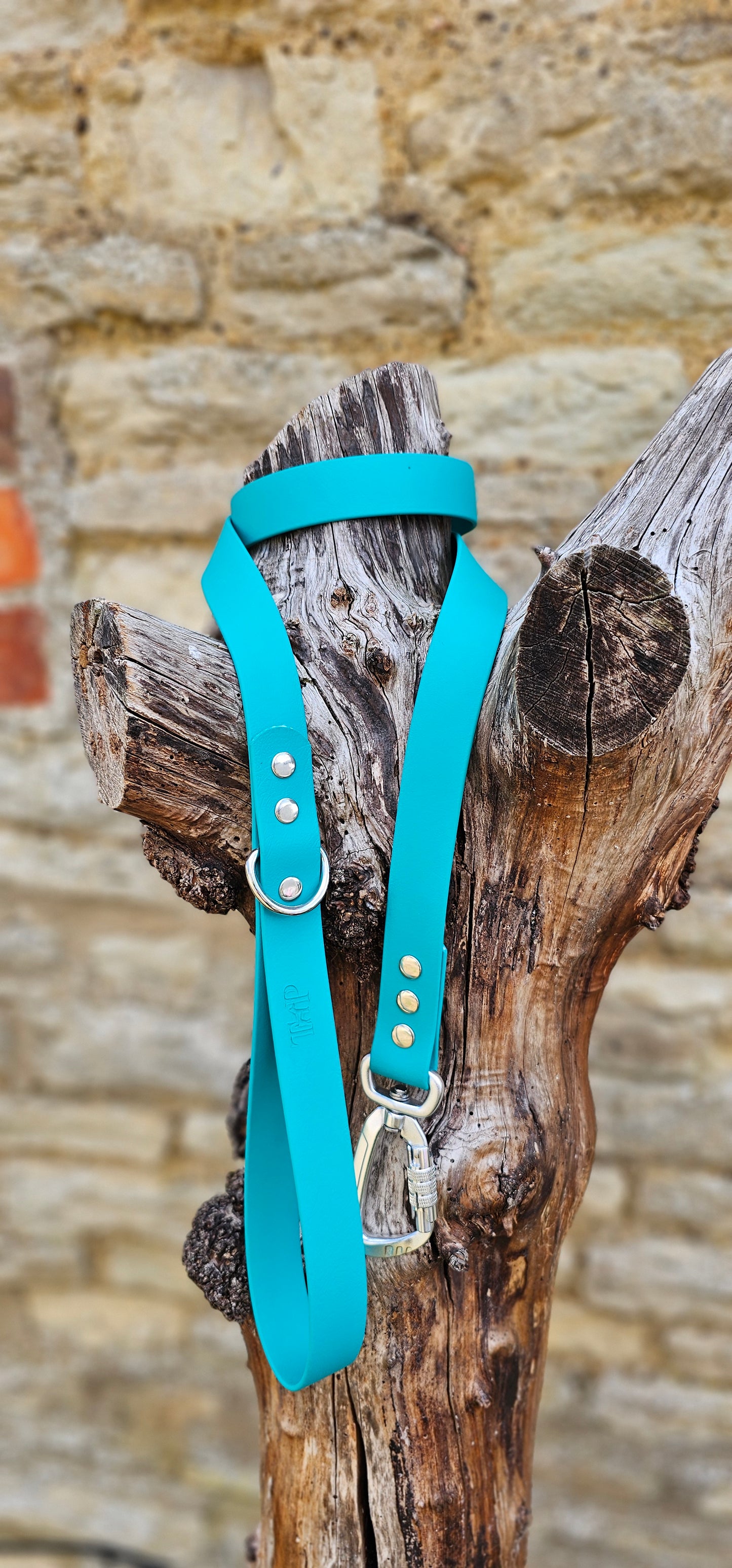 Teal - Everlast Waterproof BioThane© Quick-Release Buckle Dog Collar