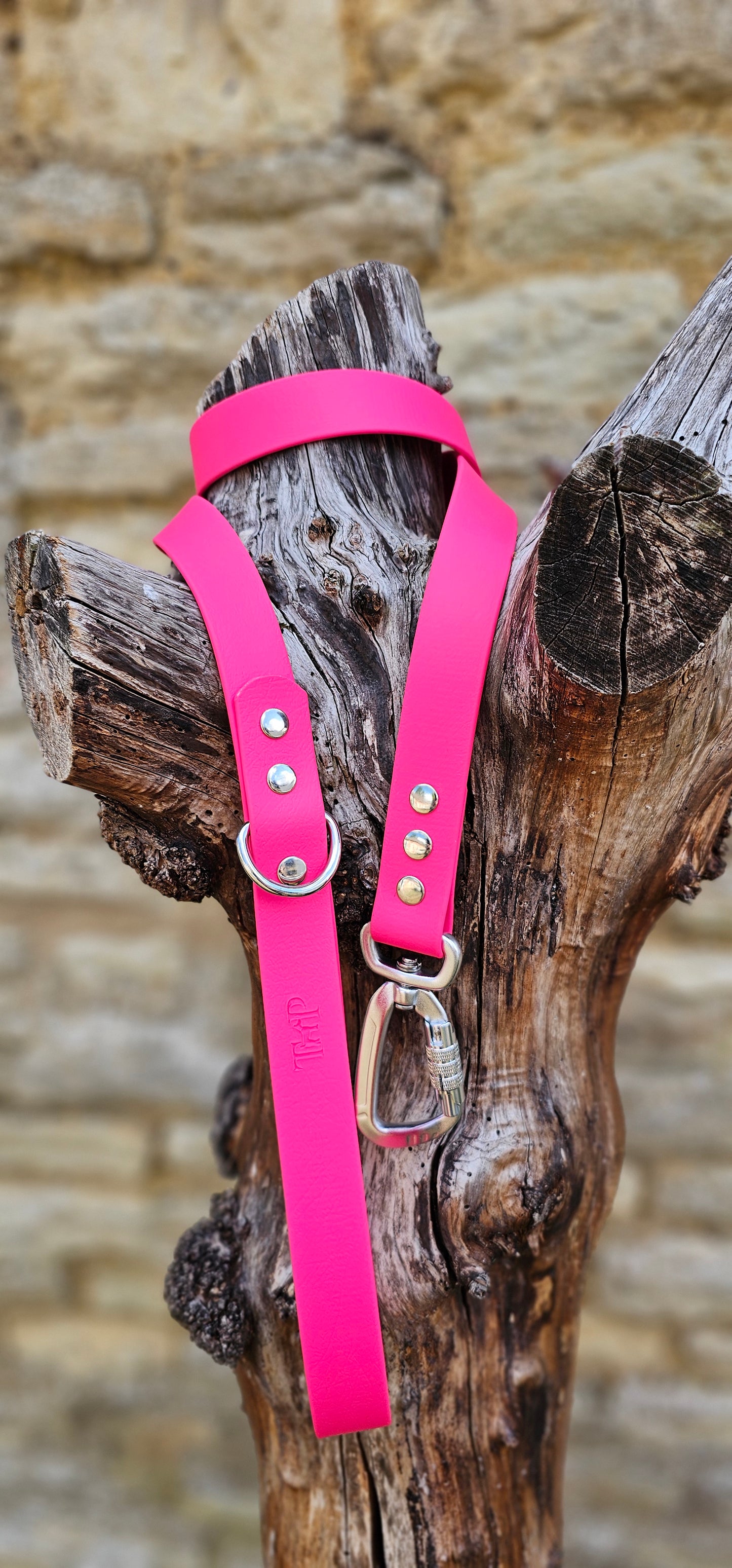 Passion Pink - Everlast Waterproof BioThane© Dog Lead