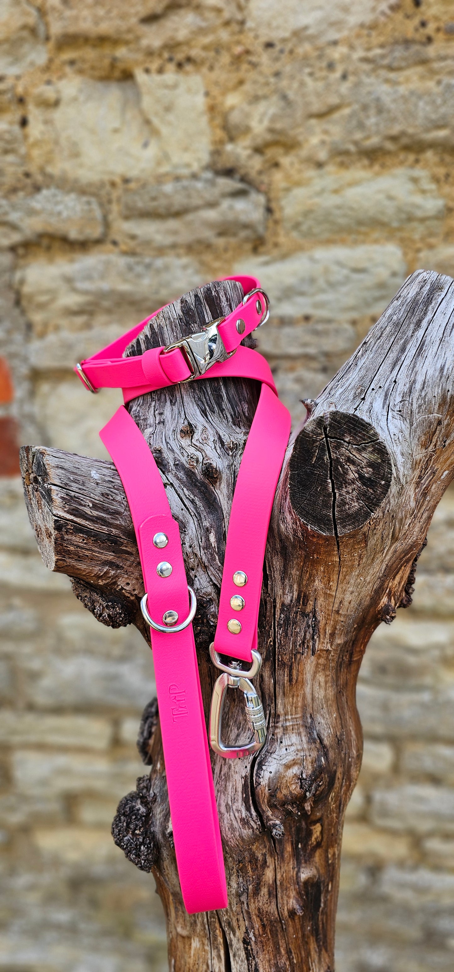 Passion Pink - Everlast Waterproof BioThane© Quick-Release Buckle Dog Collar