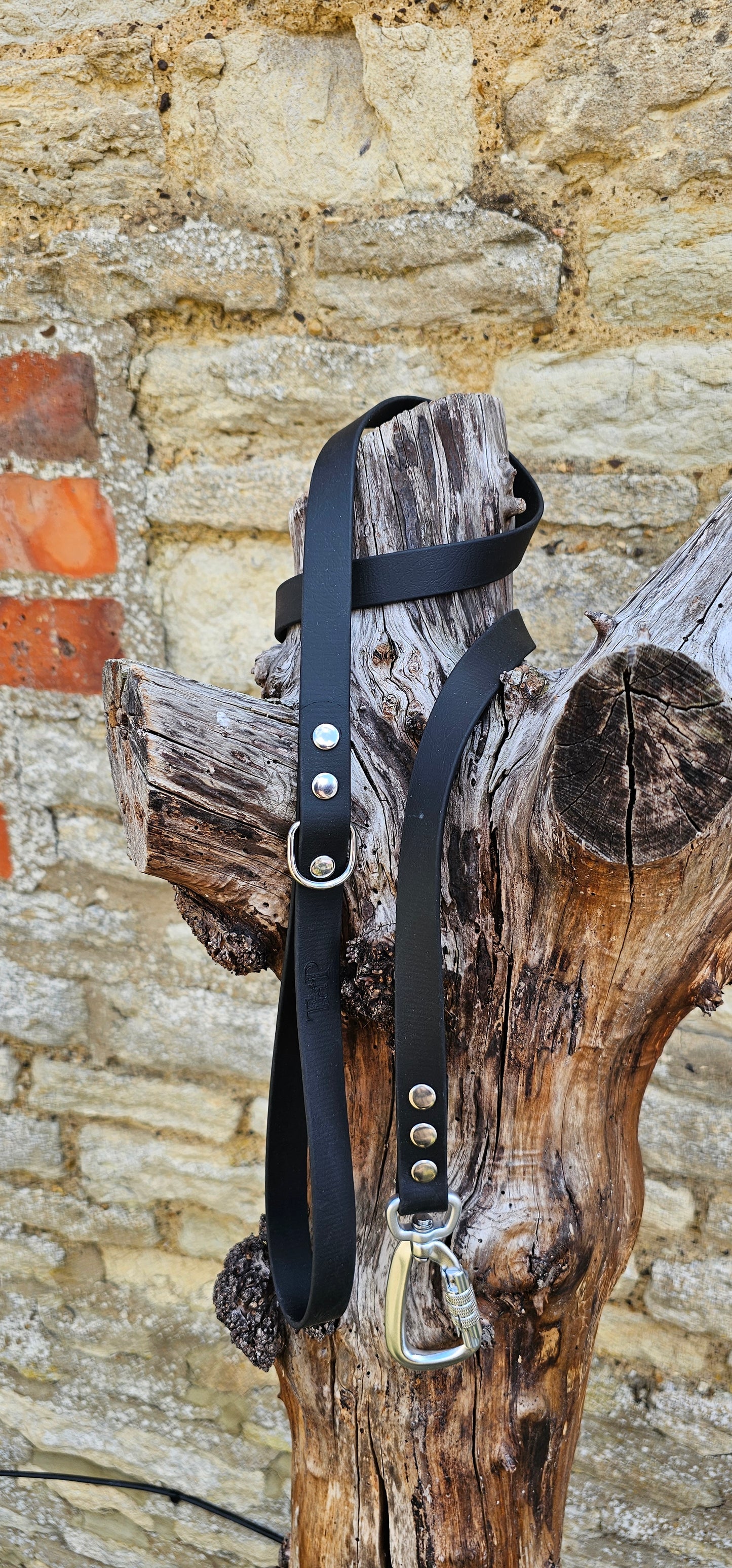 Black - Everlast Waterproof BioThane© Dog Lead