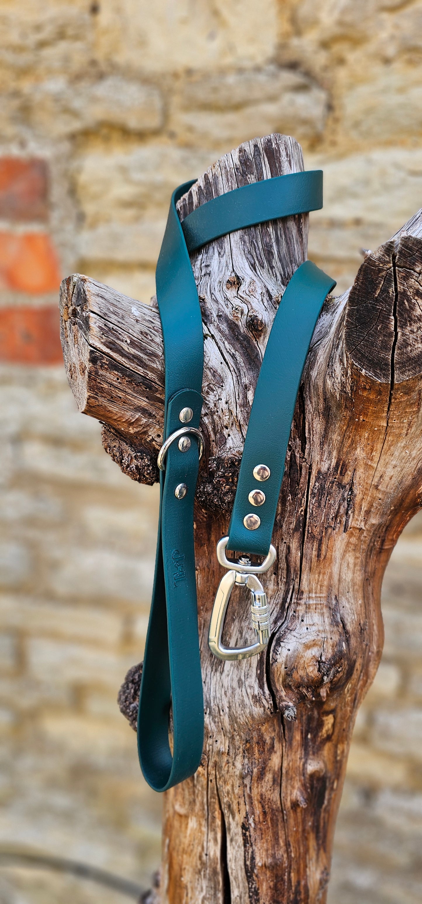 Dark Green - Everlast Waterproof BioThane© Dog Lead