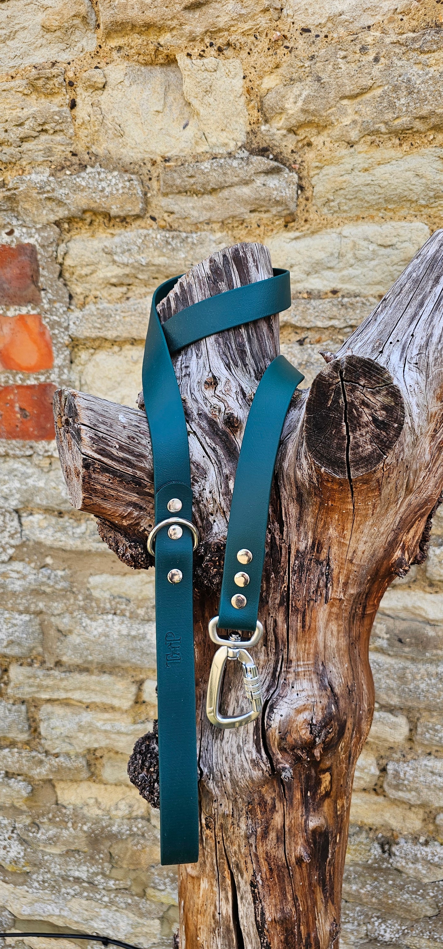 Dark Green - Everlast Waterproof BioThane© Dog Lead