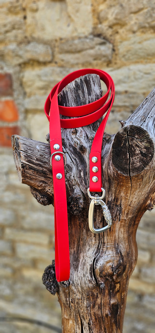 Red - Everlast Waterproof BioThane© Dog Lead