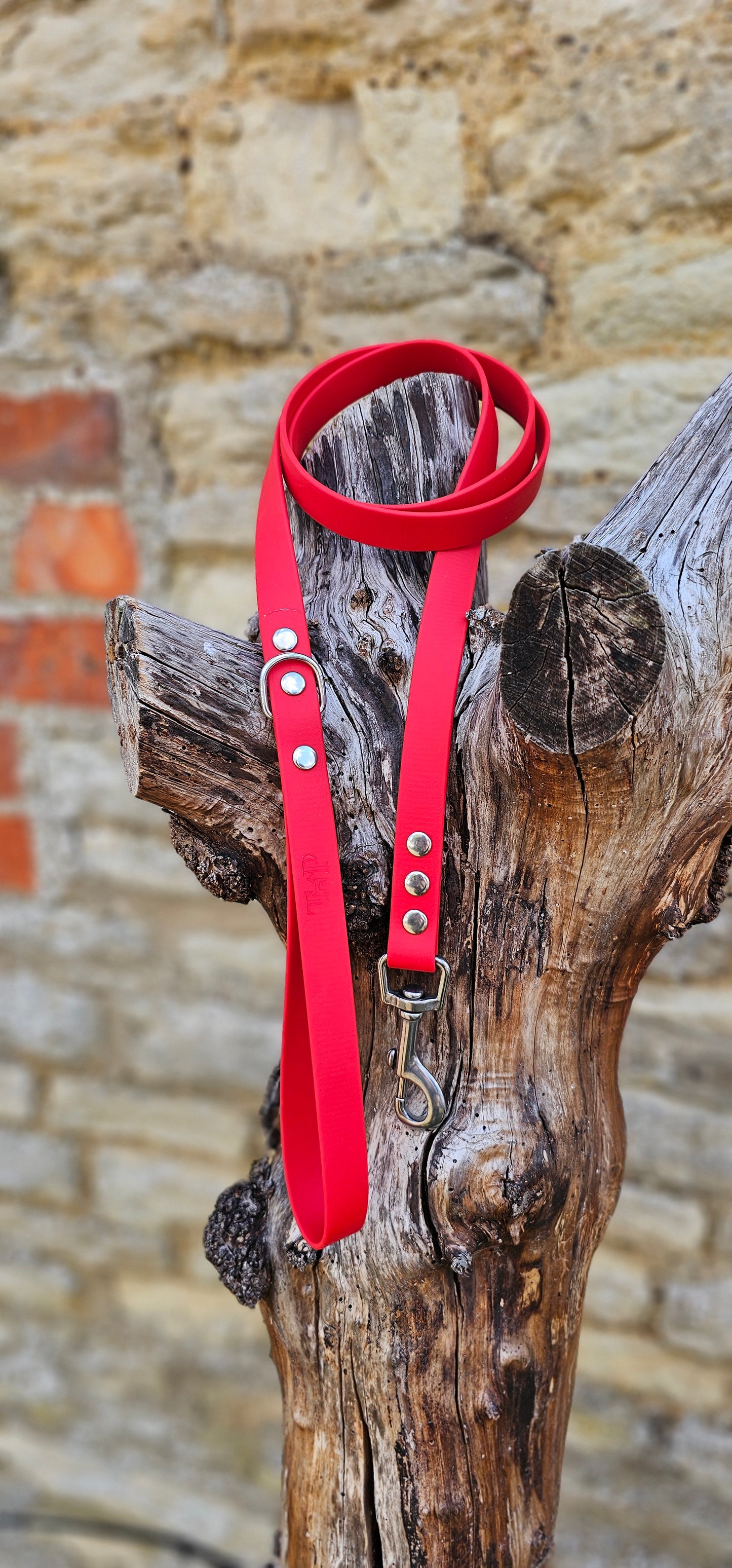 Red - Everlast Waterproof BioThane© Dog Lead