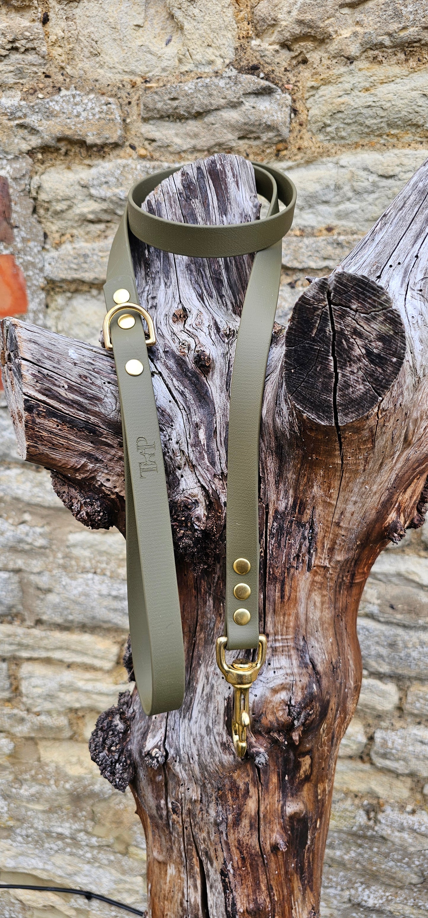 Olive - Everlast Waterproof BioThane© Dog Lead