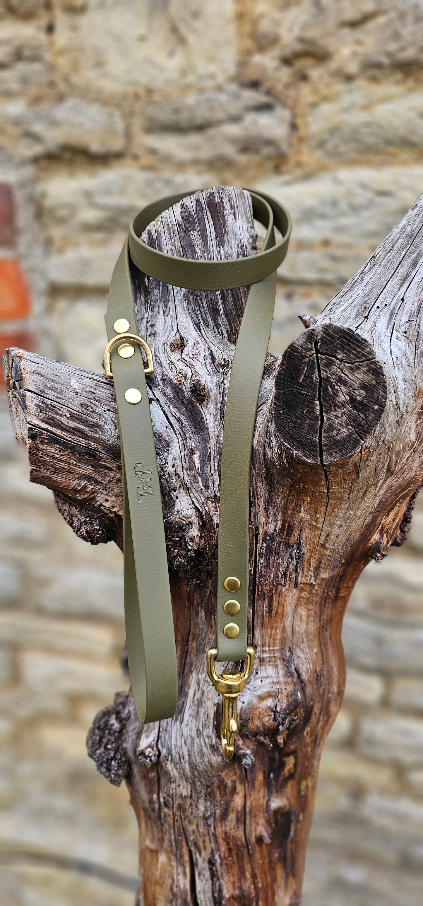 Olive - Everlast Waterproof BioThane© Dog Lead