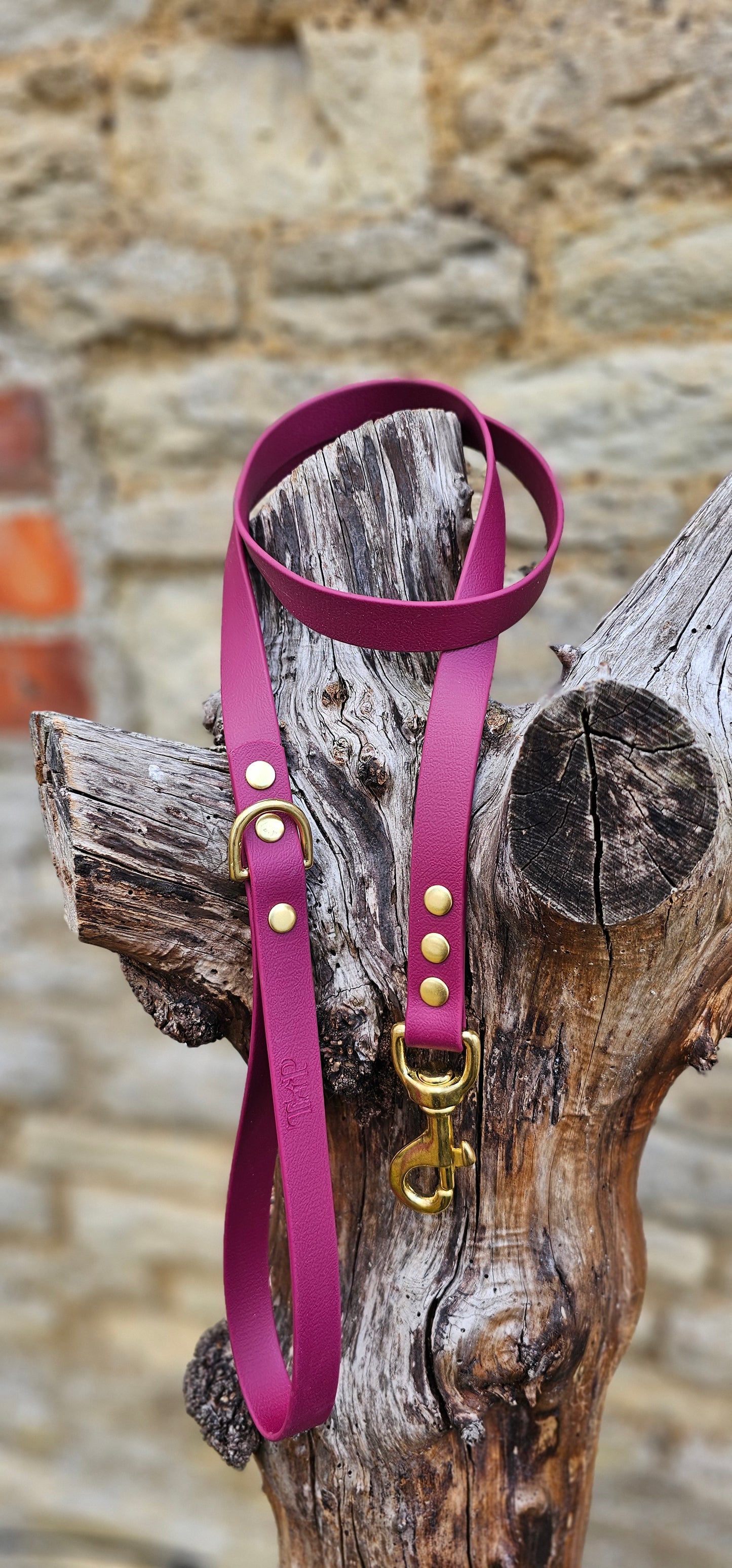 Burgundy - Everlast Waterproof BioThane© Dog Lead