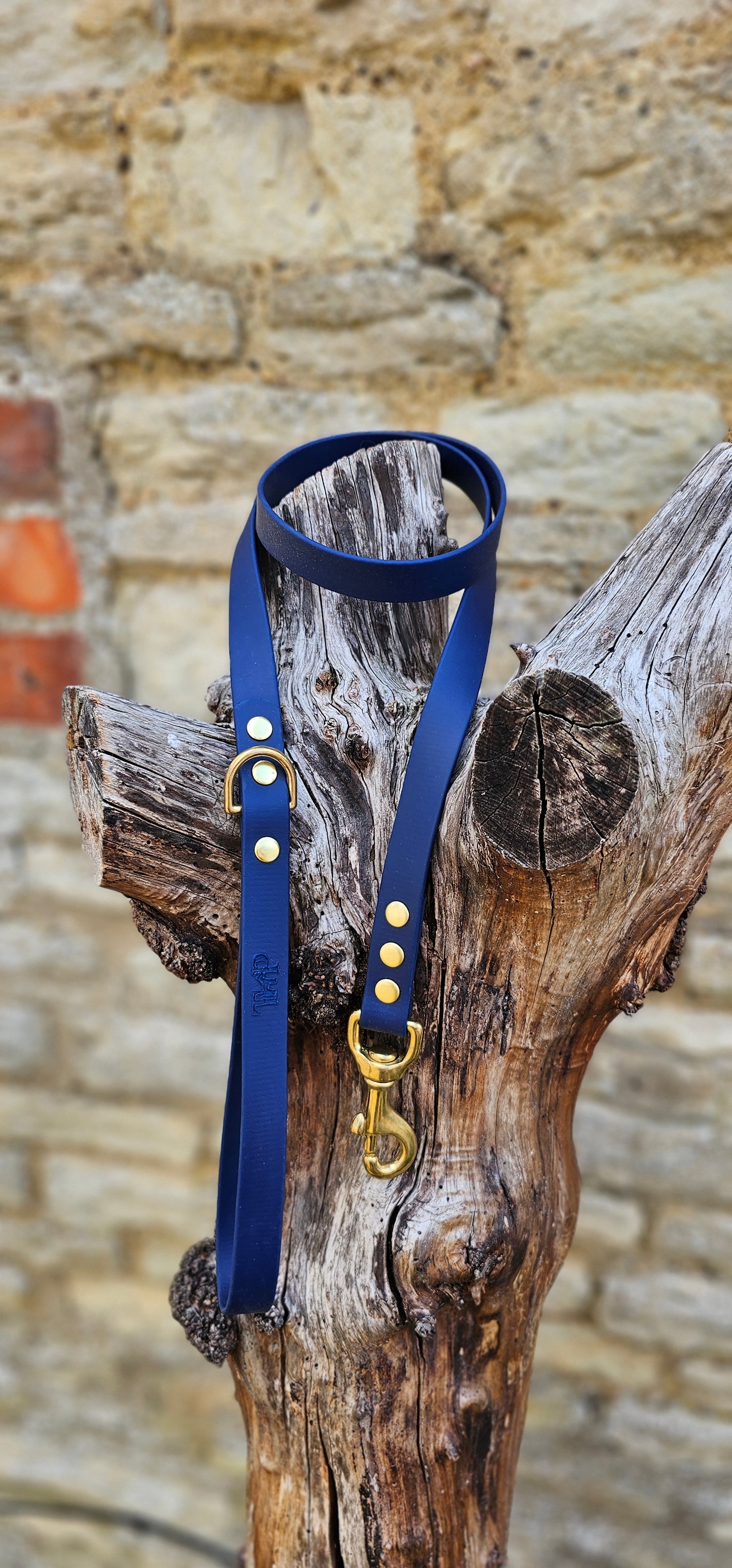 Navy - Everlast Waterproof BioThane© Dog Lead