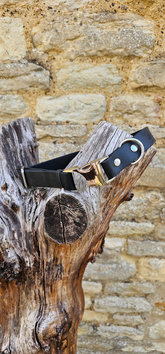Black - Everlast Waterproof BioThane© Quick-Release Buckle Dog Collar