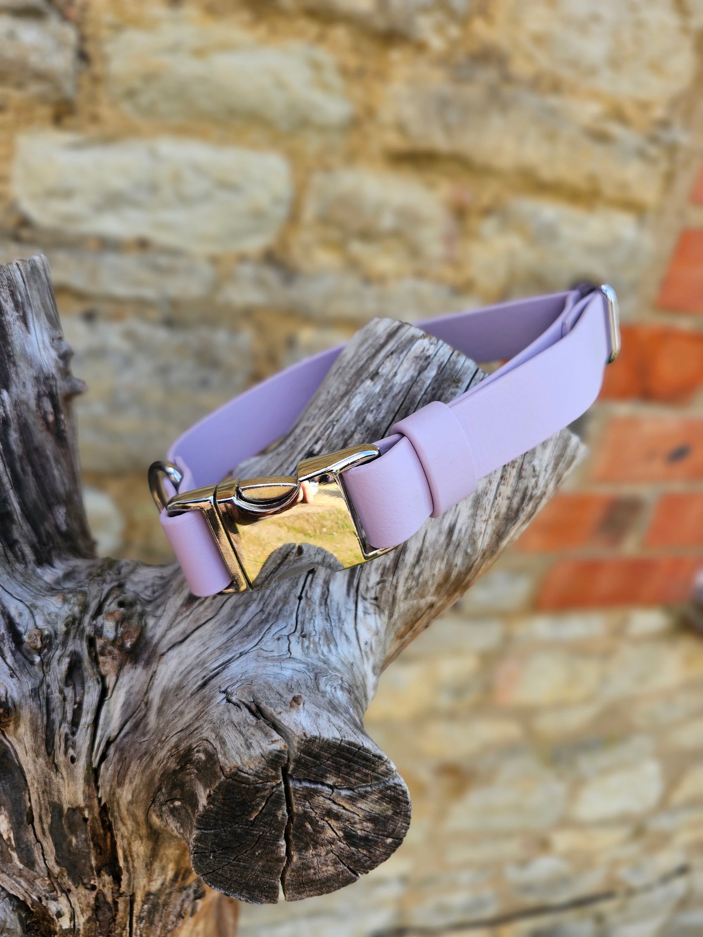 Lilac - Everlast Waterproof BioThane© Quick-Release Buckle Dog Collar
