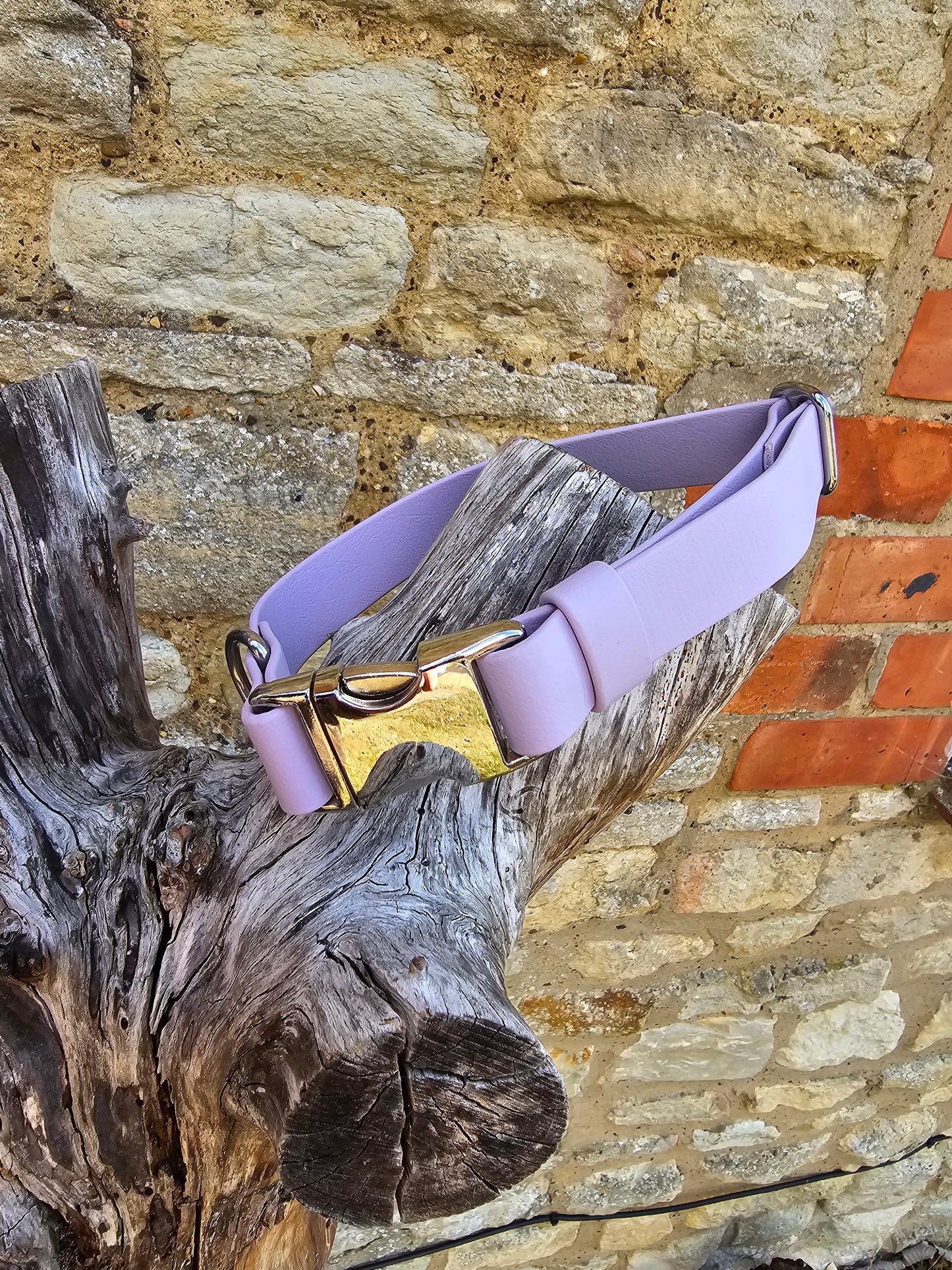 Lilac - Everlast Waterproof BioThane© Quick-Release Buckle Dog Collar