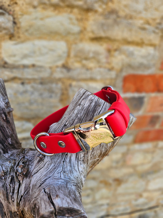 Red - Everlast Waterproof BioThane© Quick-Release Buckle Dog Collar