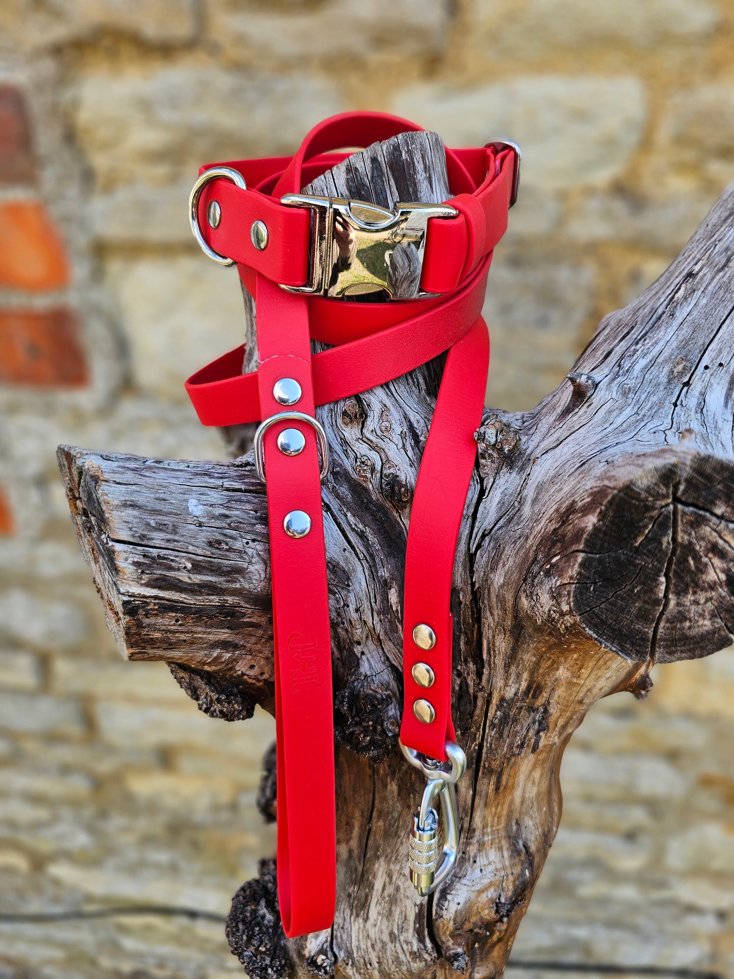 Red - Everlast Waterproof BioThane© Quick-Release Buckle Dog Collar