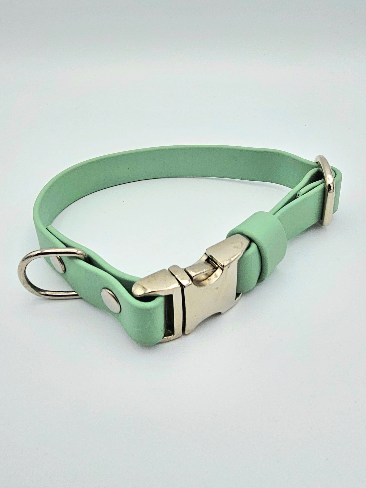 Sage - Everlast Waterproof BioThane© Quick-Release Buckle Dog Collar