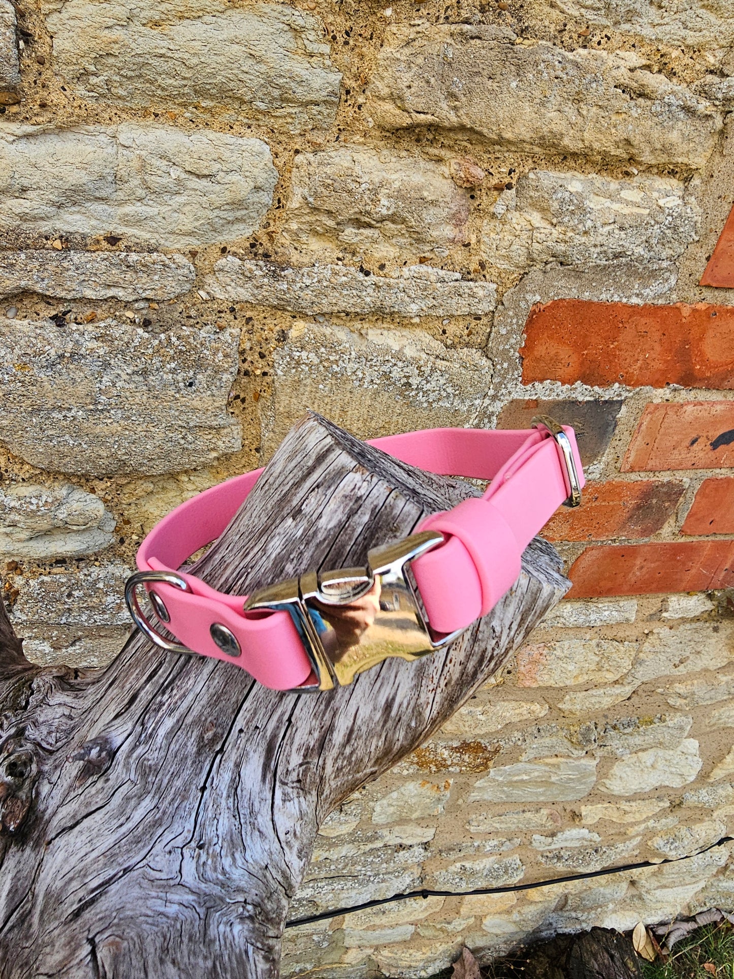 Baby Pink - Everlast Waterproof BioThane© Quick-Release Buckle Dog Collar