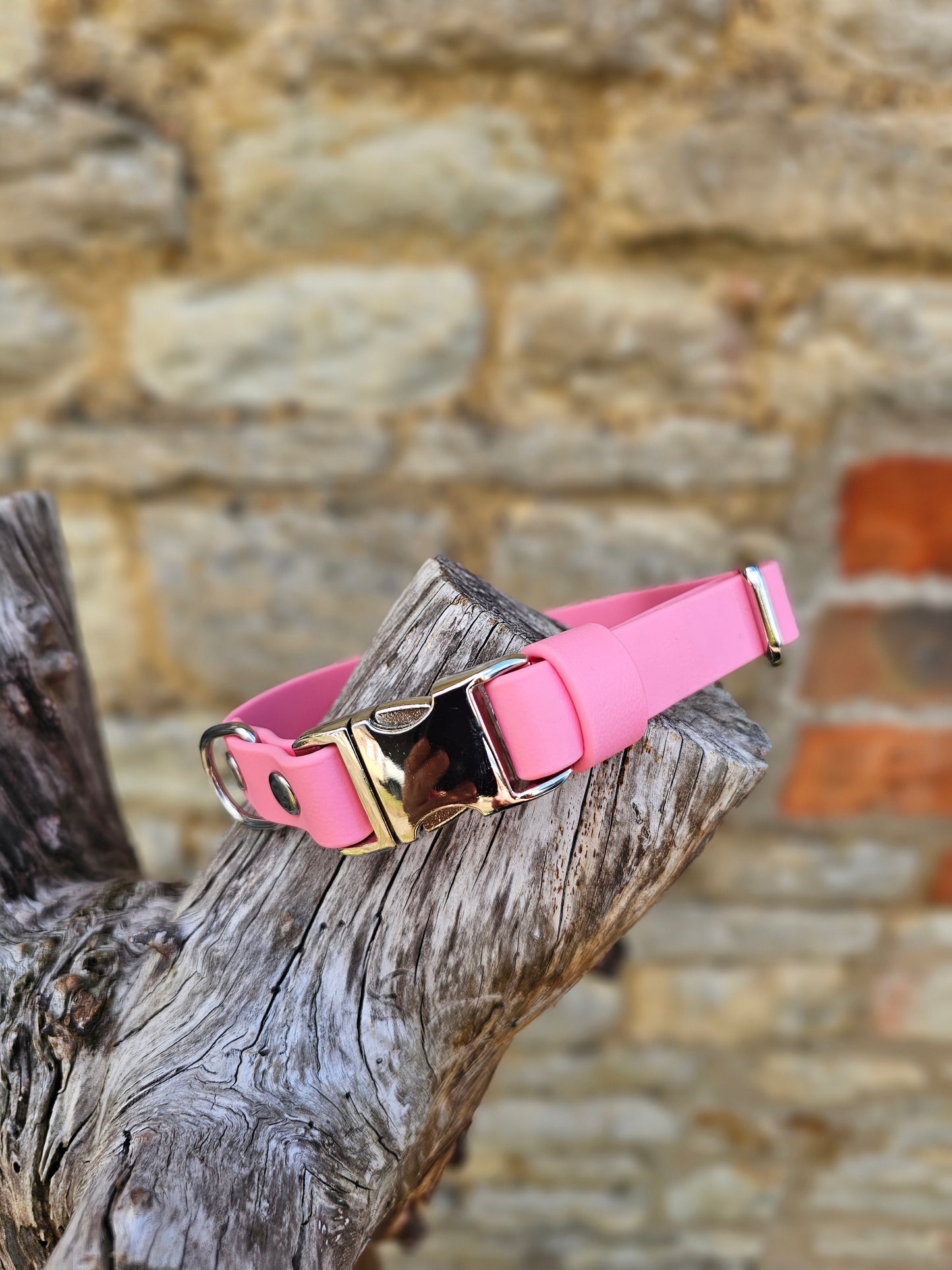 Baby Pink - Everlast Waterproof BioThane© Quick-Release Buckle Dog Collar