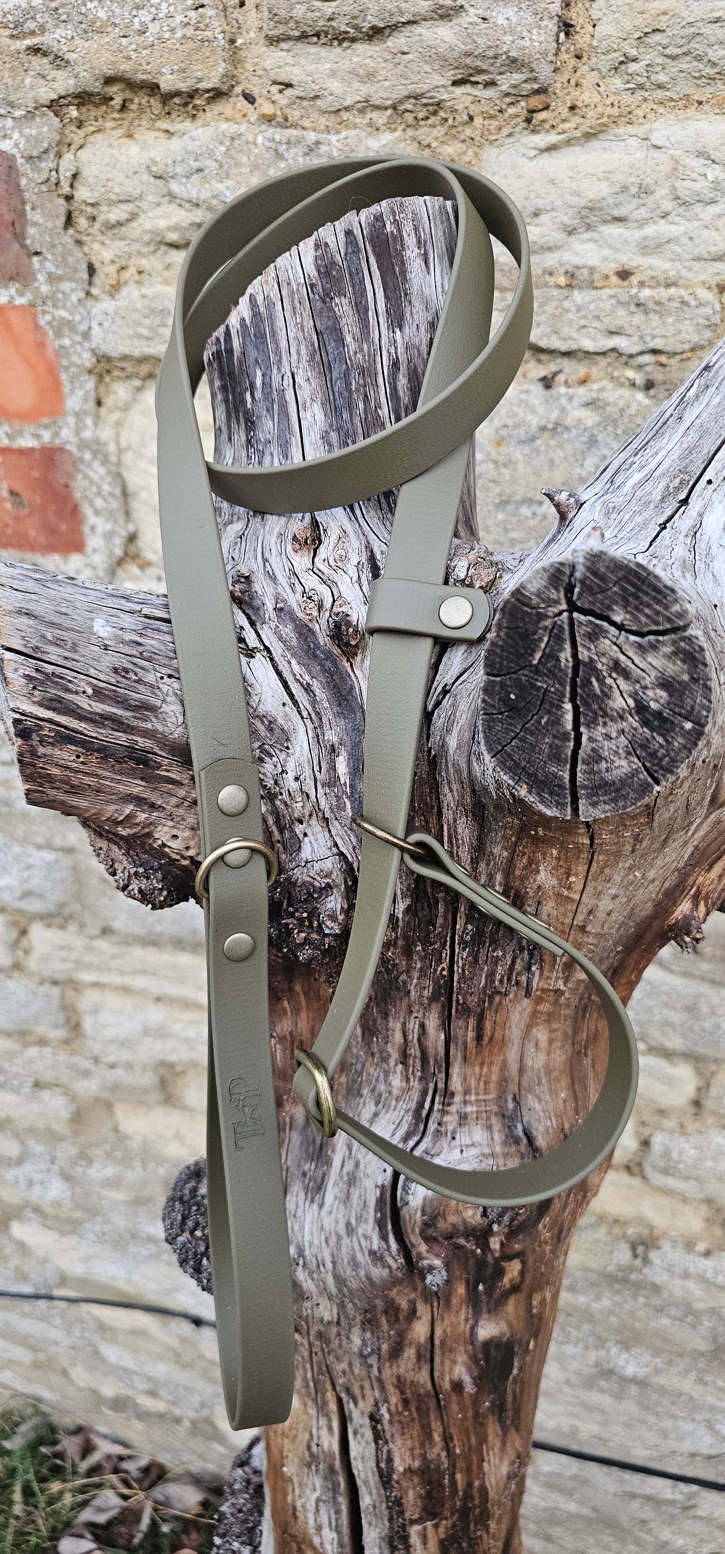 Olive - Waterproof BioThane® Dog Slip Lead