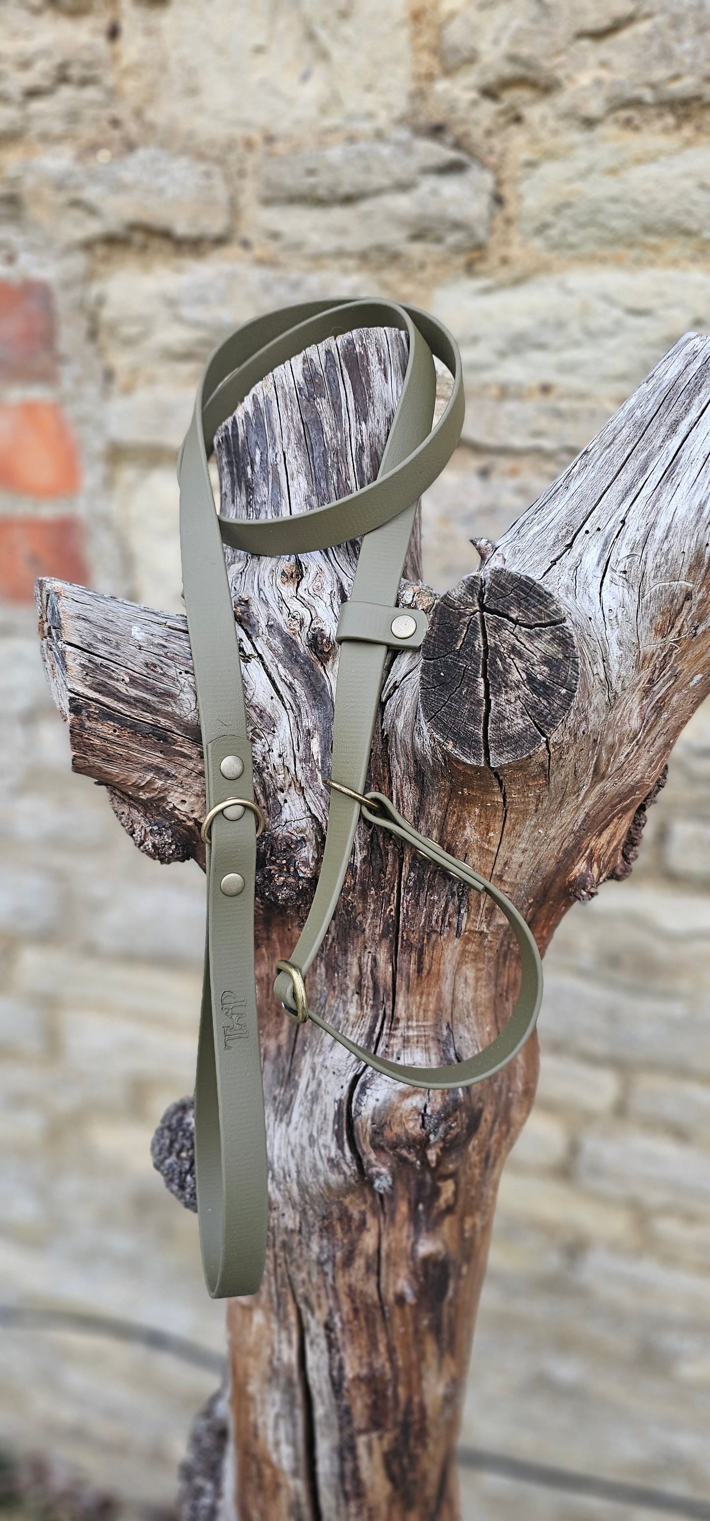 Olive - Waterproof BioThane® Dog Slip Lead