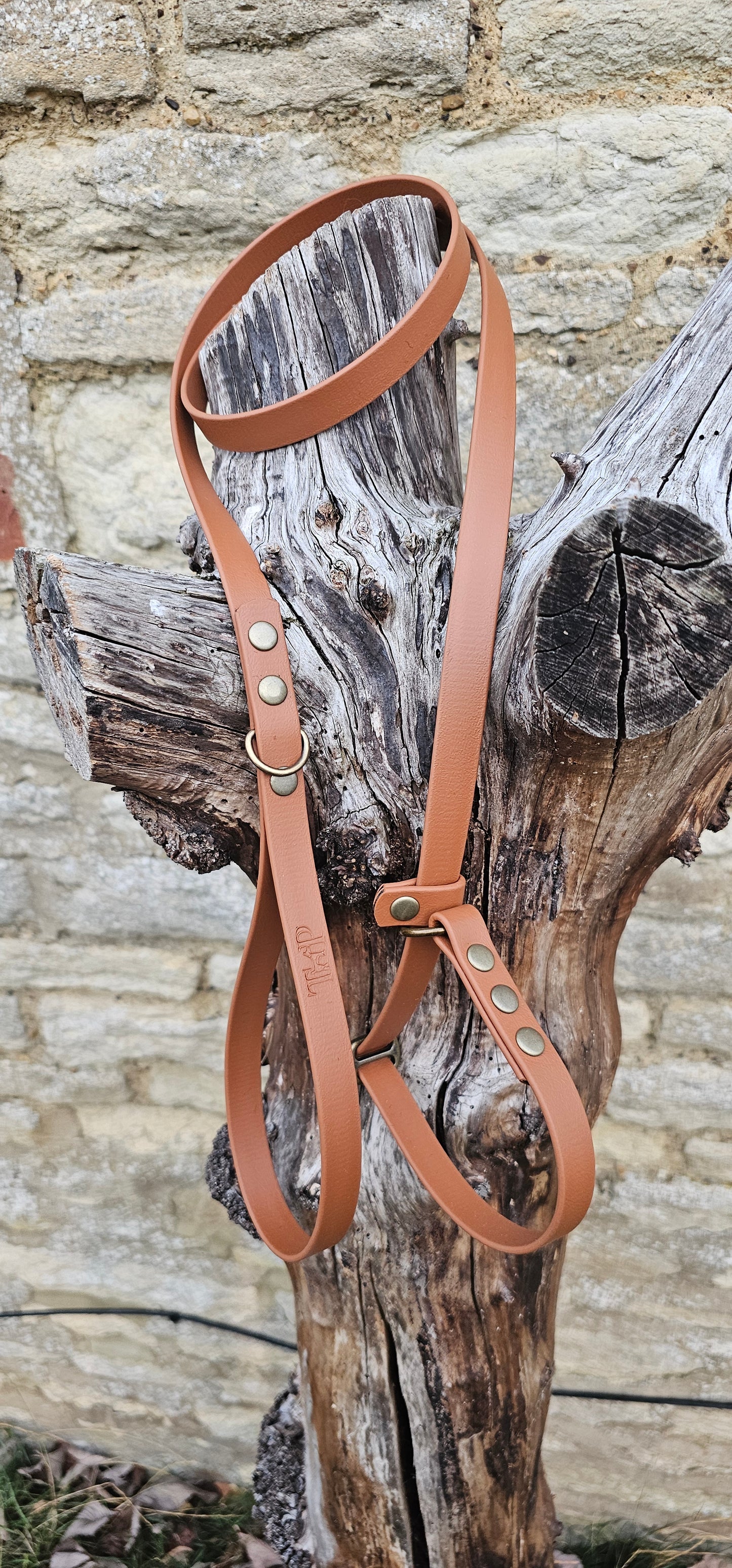 Tan - Waterproof BioThane® Dog Slip Lead