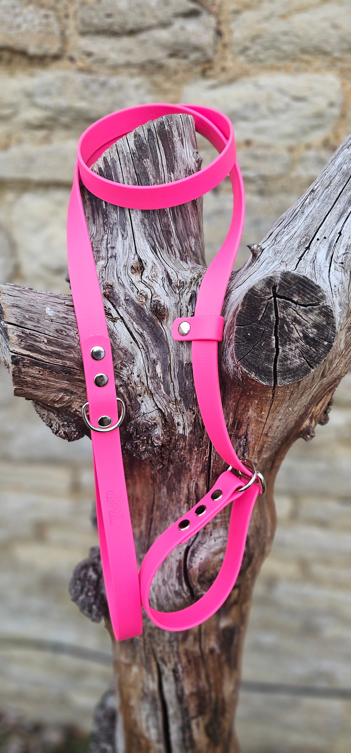 Passion Pink - Waterproof BioThane® Dog Slip Lead