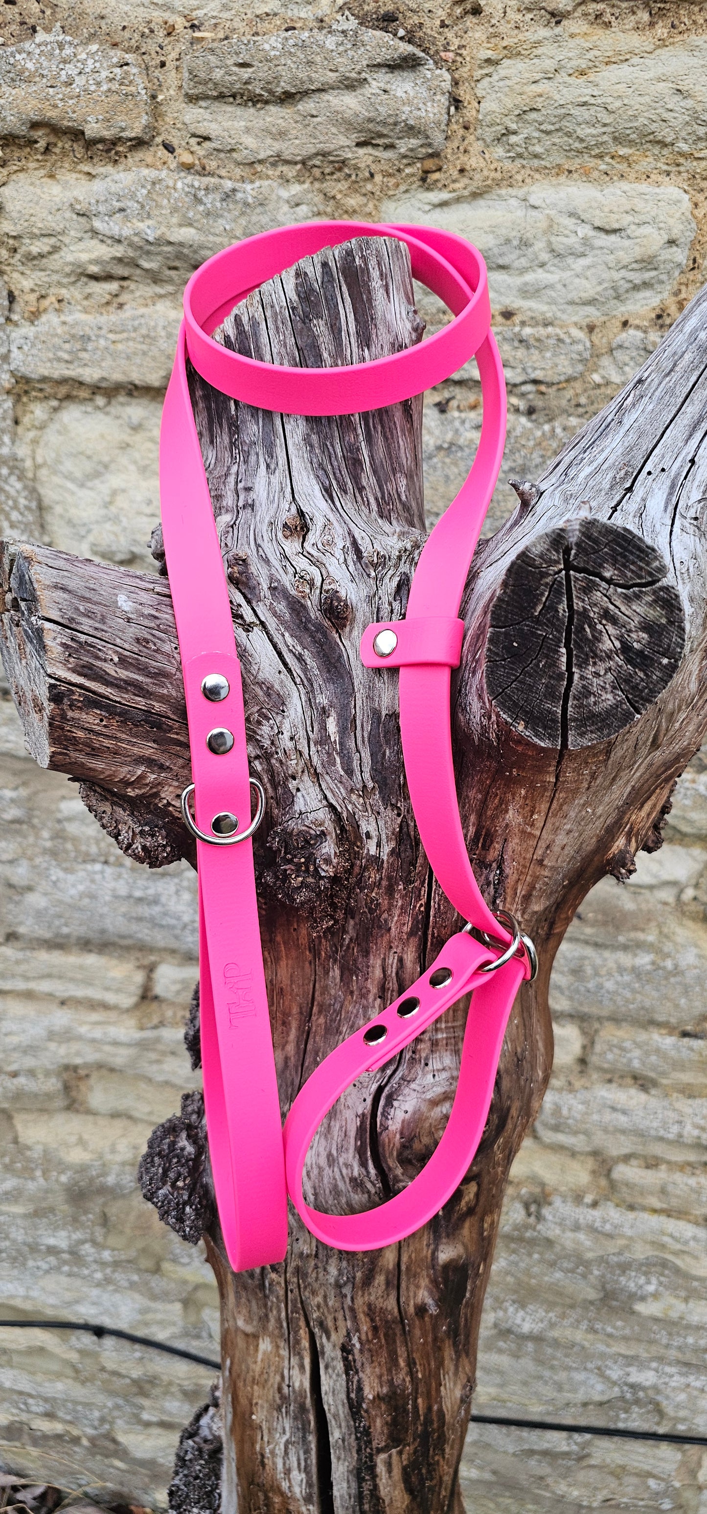 Passion Pink - Waterproof BioThane® Dog Slip Lead