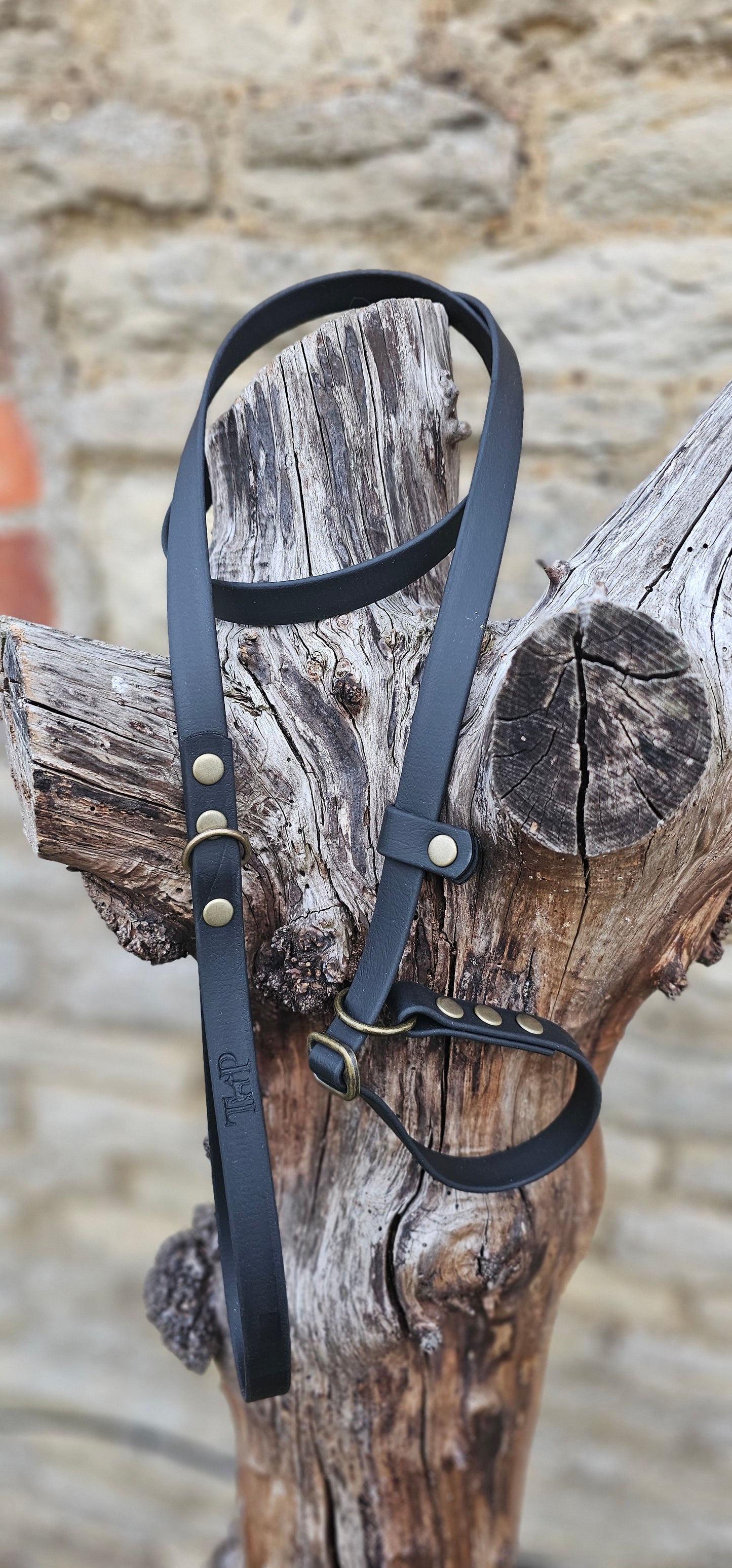 Black - Waterproof BioThane® Dog Slip Lead