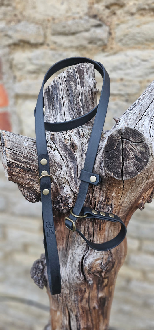 Black - Waterproof BioThane® Dog Slip Lead