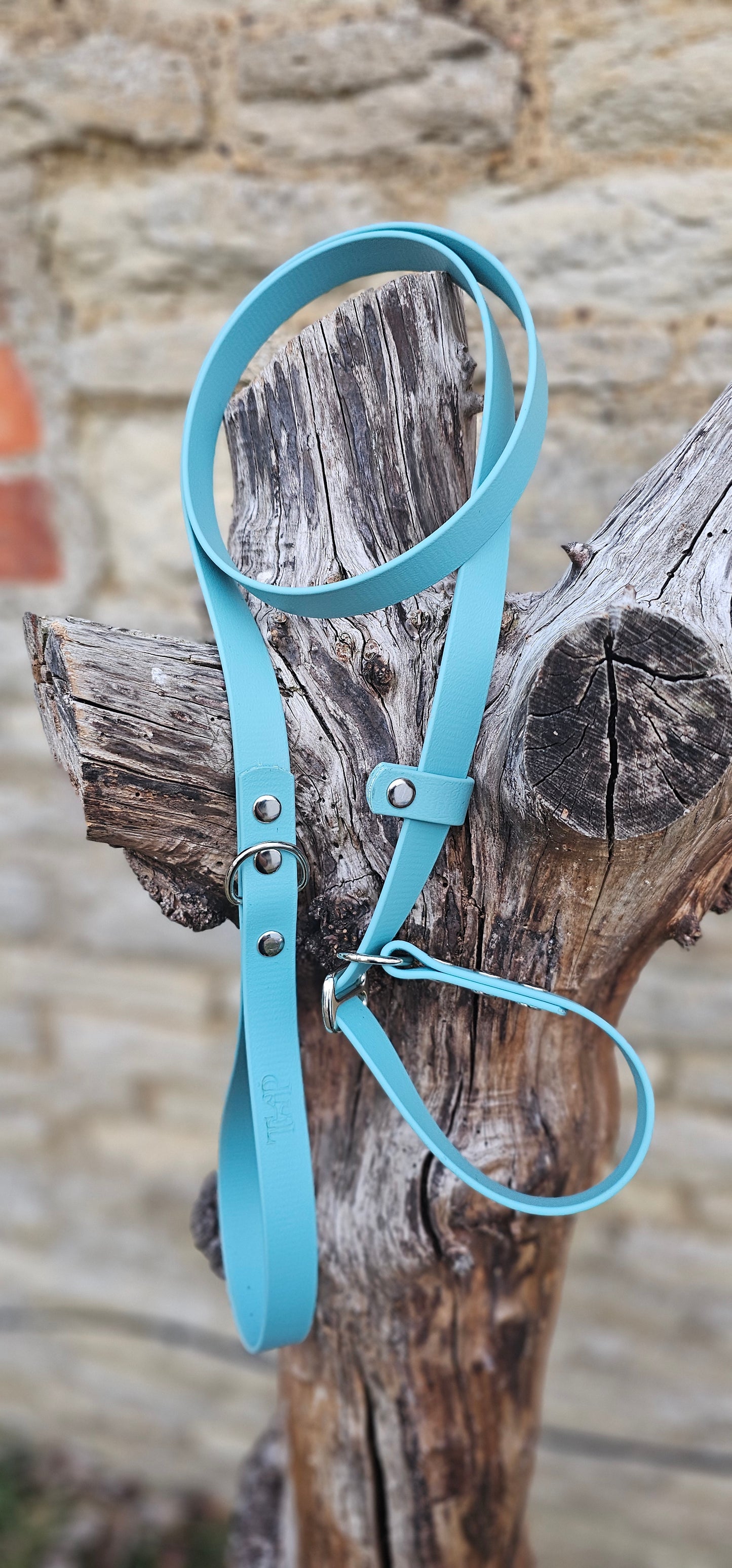 Duckegg - Waterproof BioThane® Dog Slip Lead