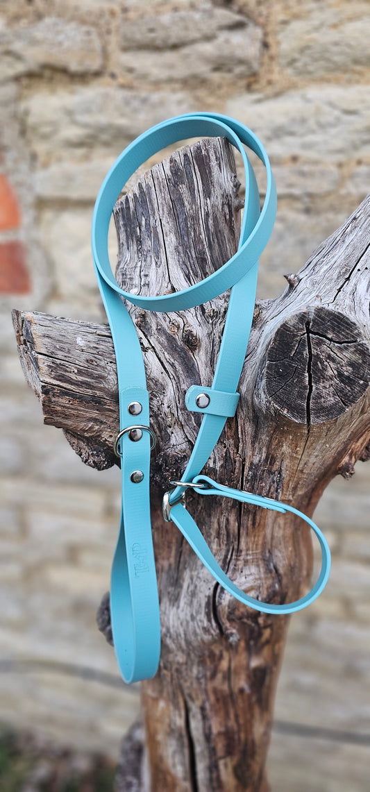 Duckegg - Waterproof BioThane® Dog Slip Lead