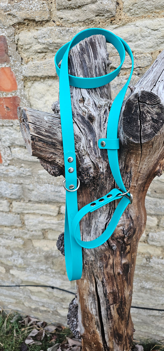 Teal - Waterproof BioThane® Dog Slip Lead