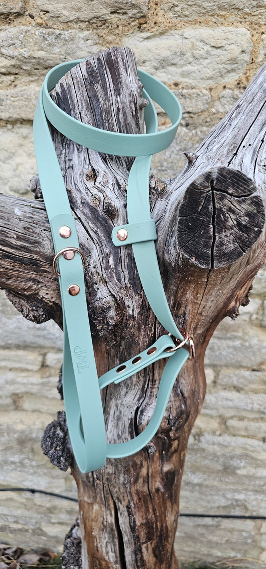 Sage - Waterproof BioThane® Dog Slip Lead