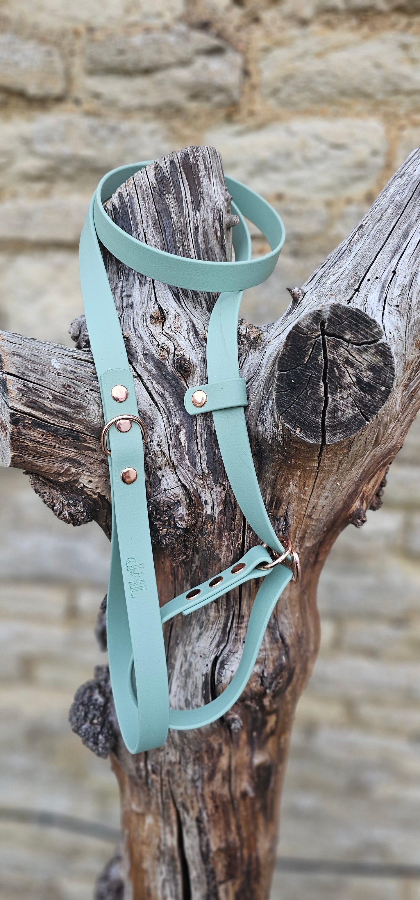 Sage - Waterproof BioThane® Dog Slip Lead